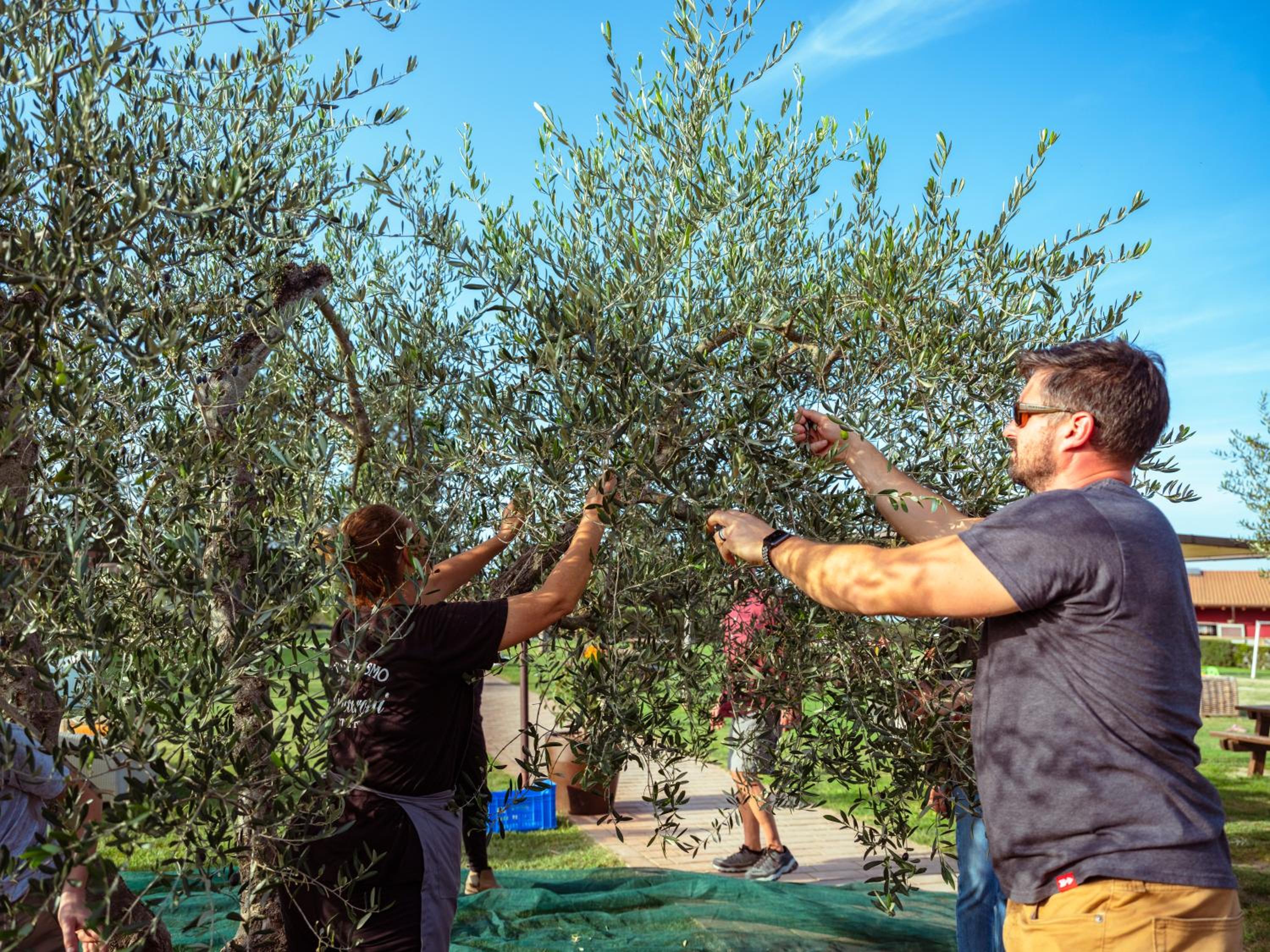 Agriturismo Pompilia