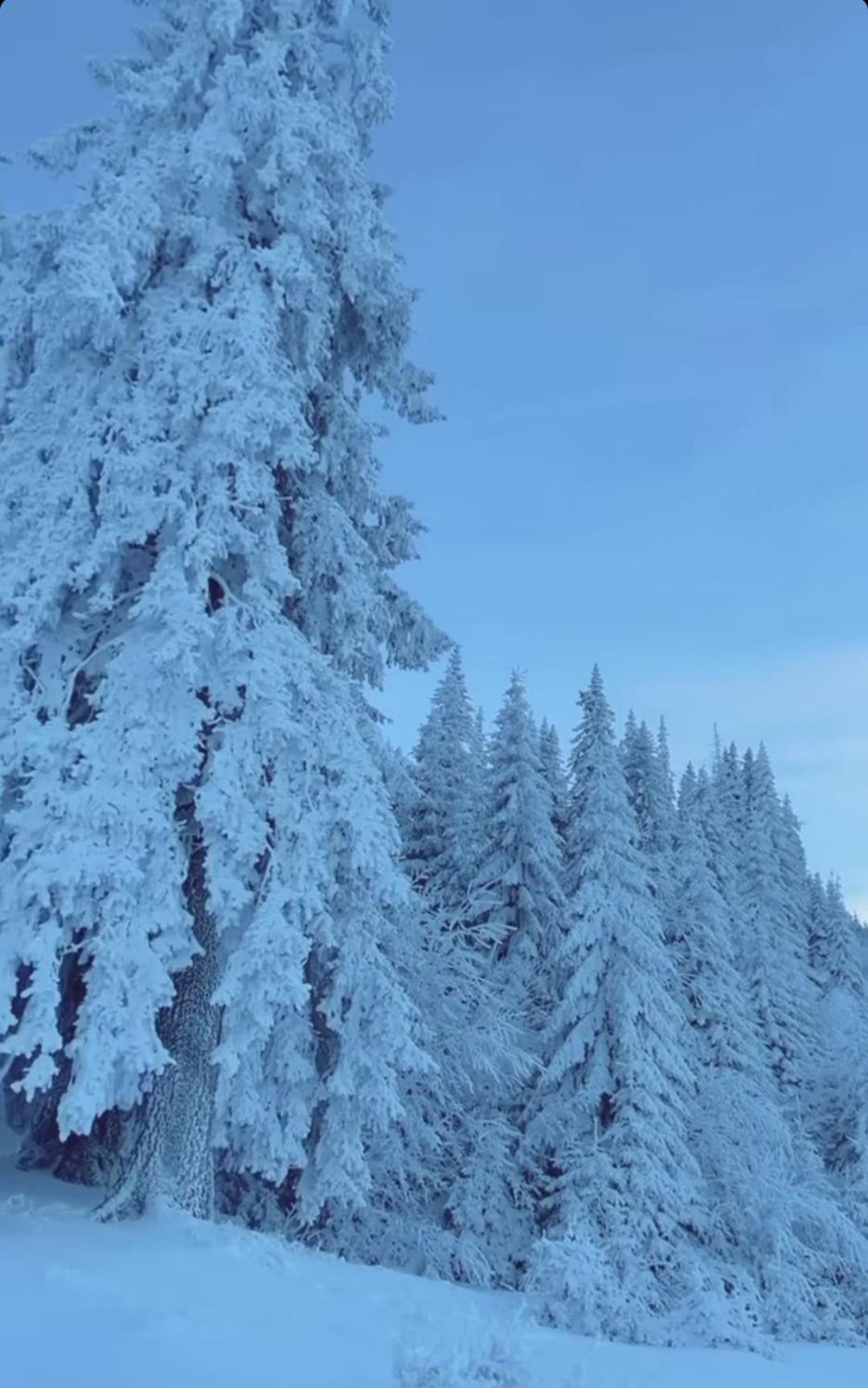 Apartment Snow Valley L6-A1 Jahorina