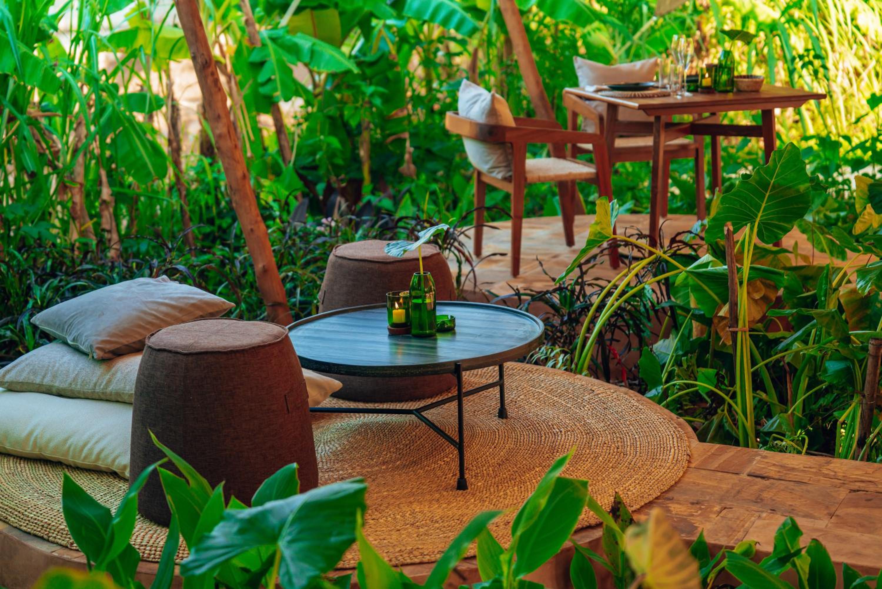 Photo 231