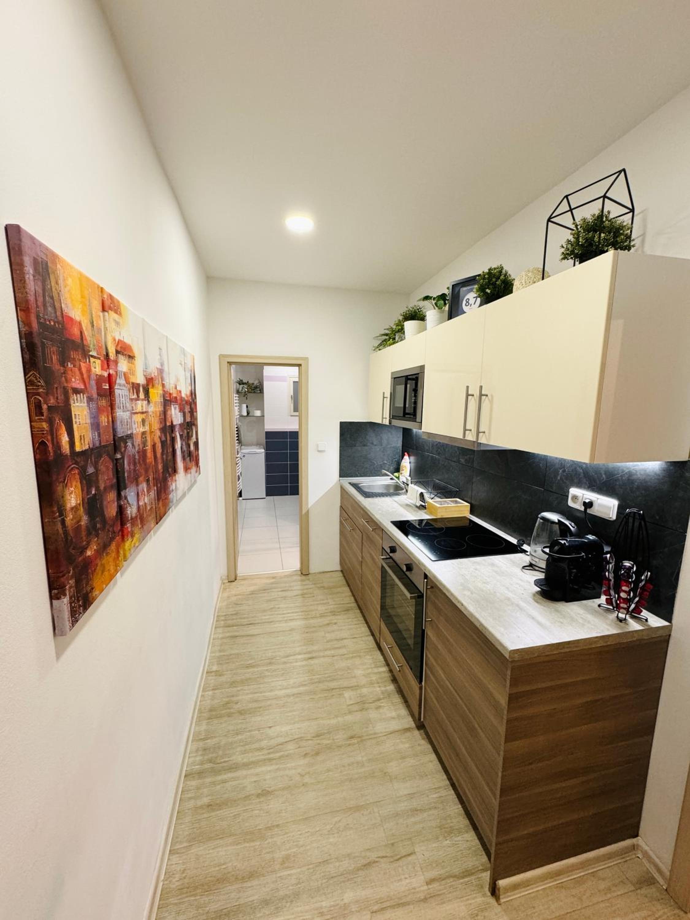 NiceLovely & Prague Apartment Dlouha