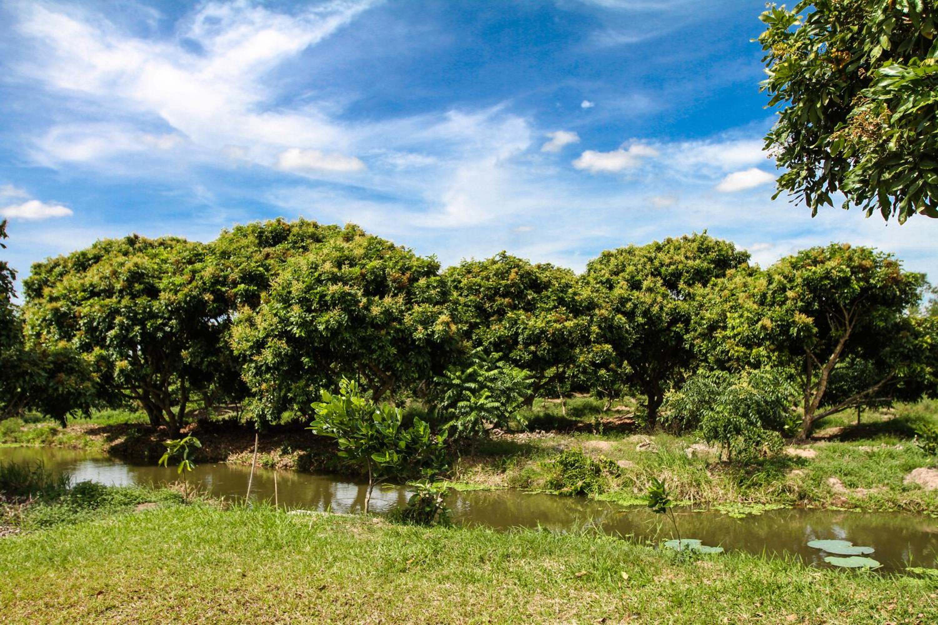 Mekong Riverside Boutique Resort & Spa