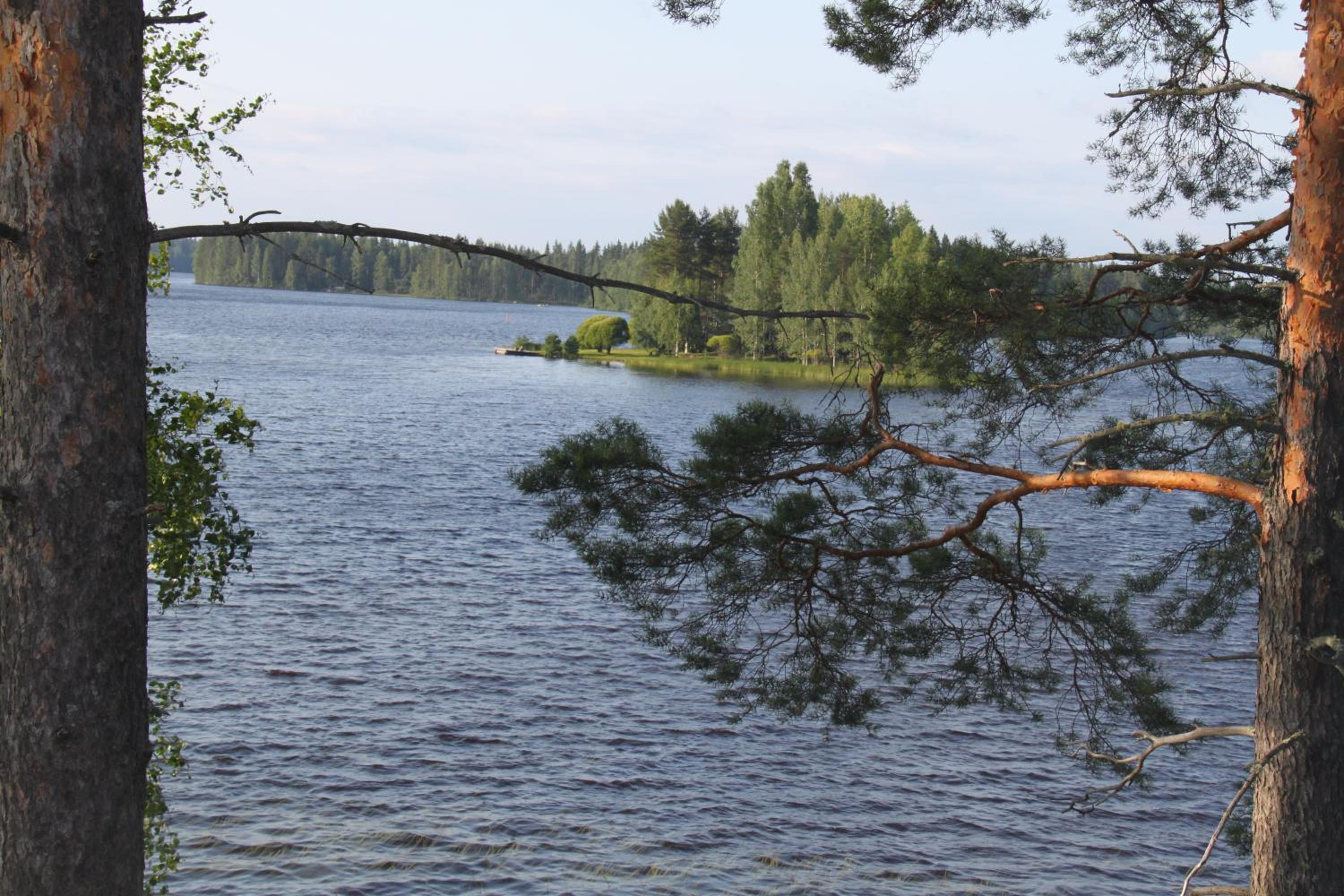 Lomaniemi Mäntylä Tahkovuori