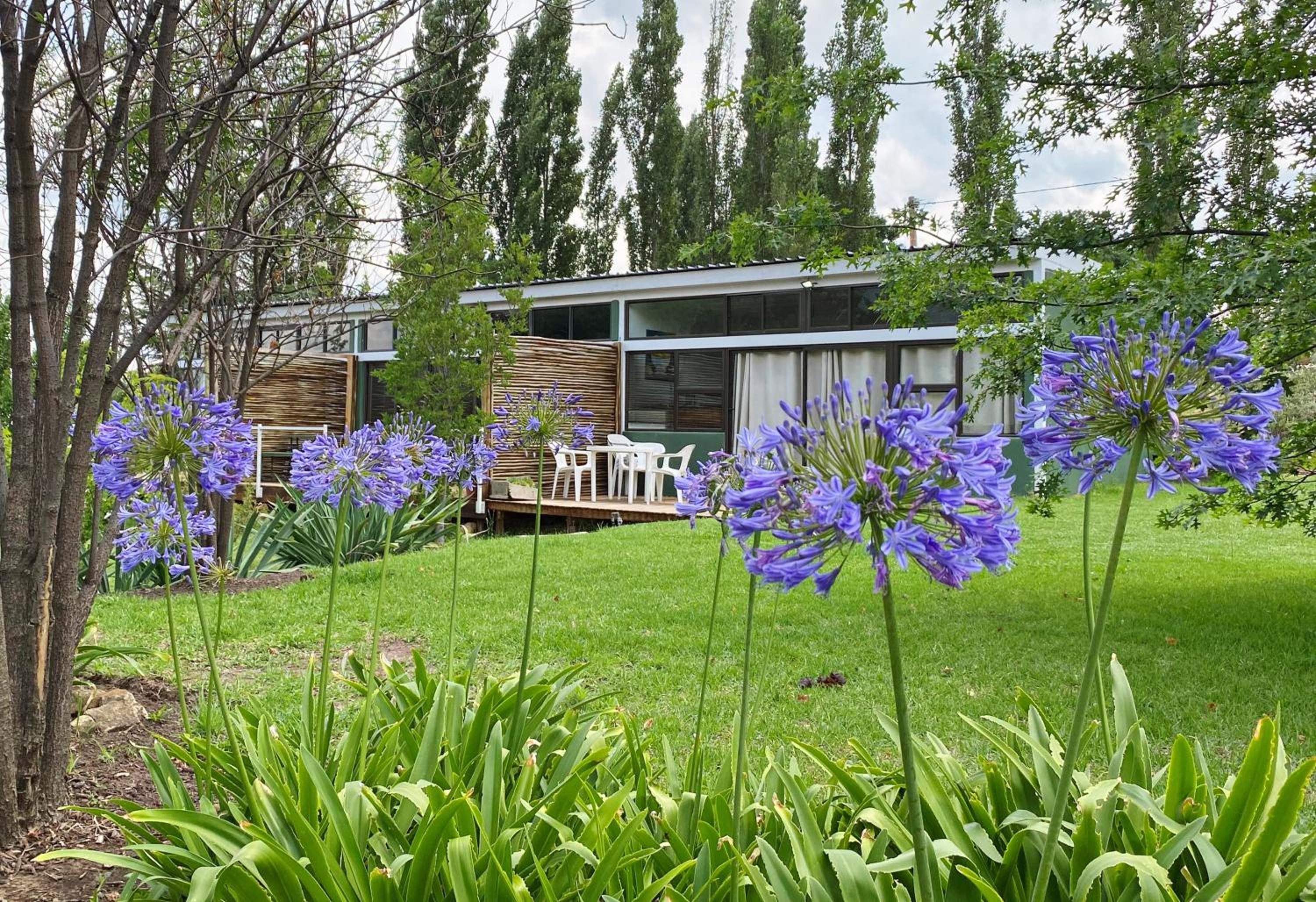 Collett House and Lavender Cottage view 2