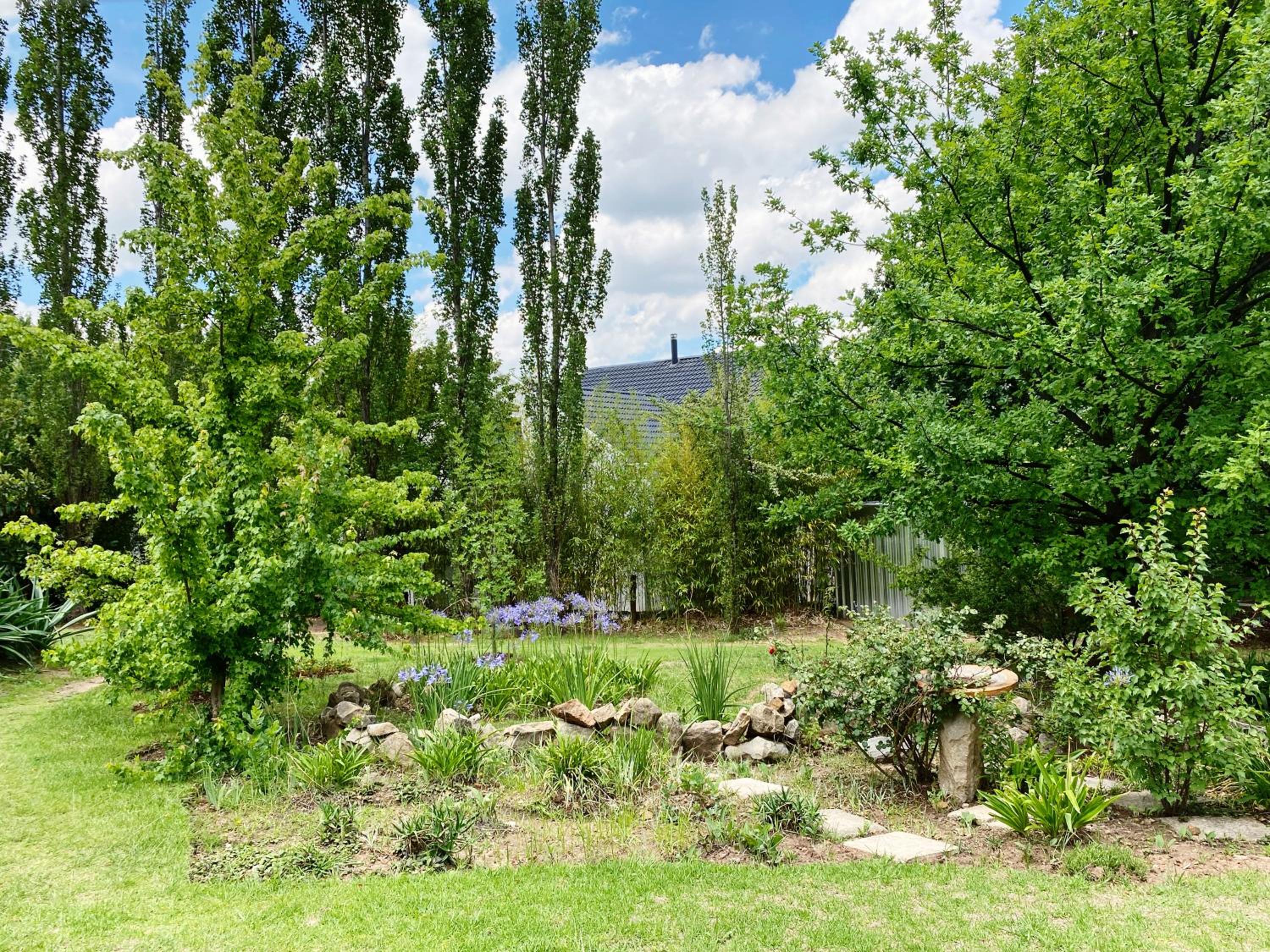 Collett House and Lavender Cottage view 4