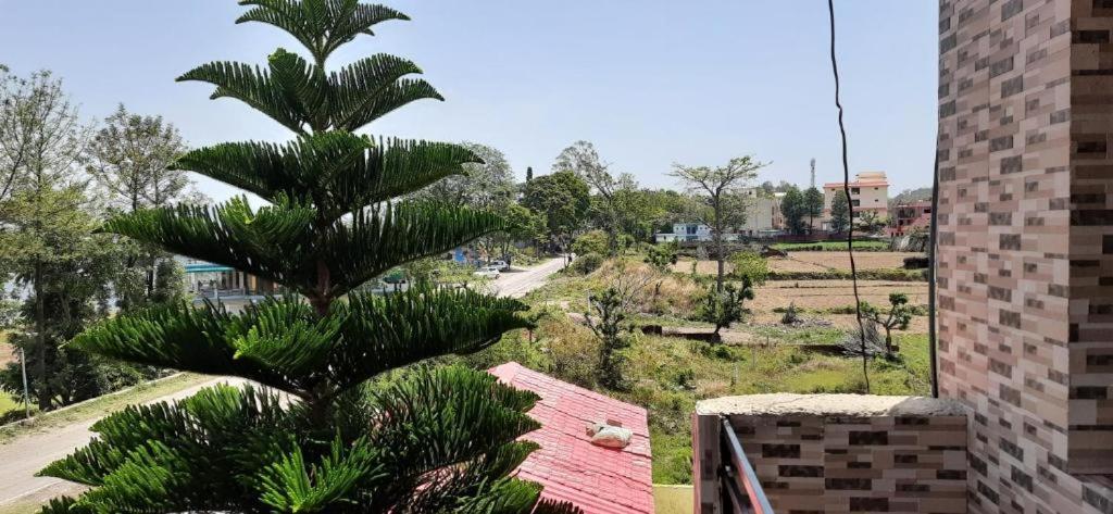 Nancy Guest House & Restaurant Morni view 2