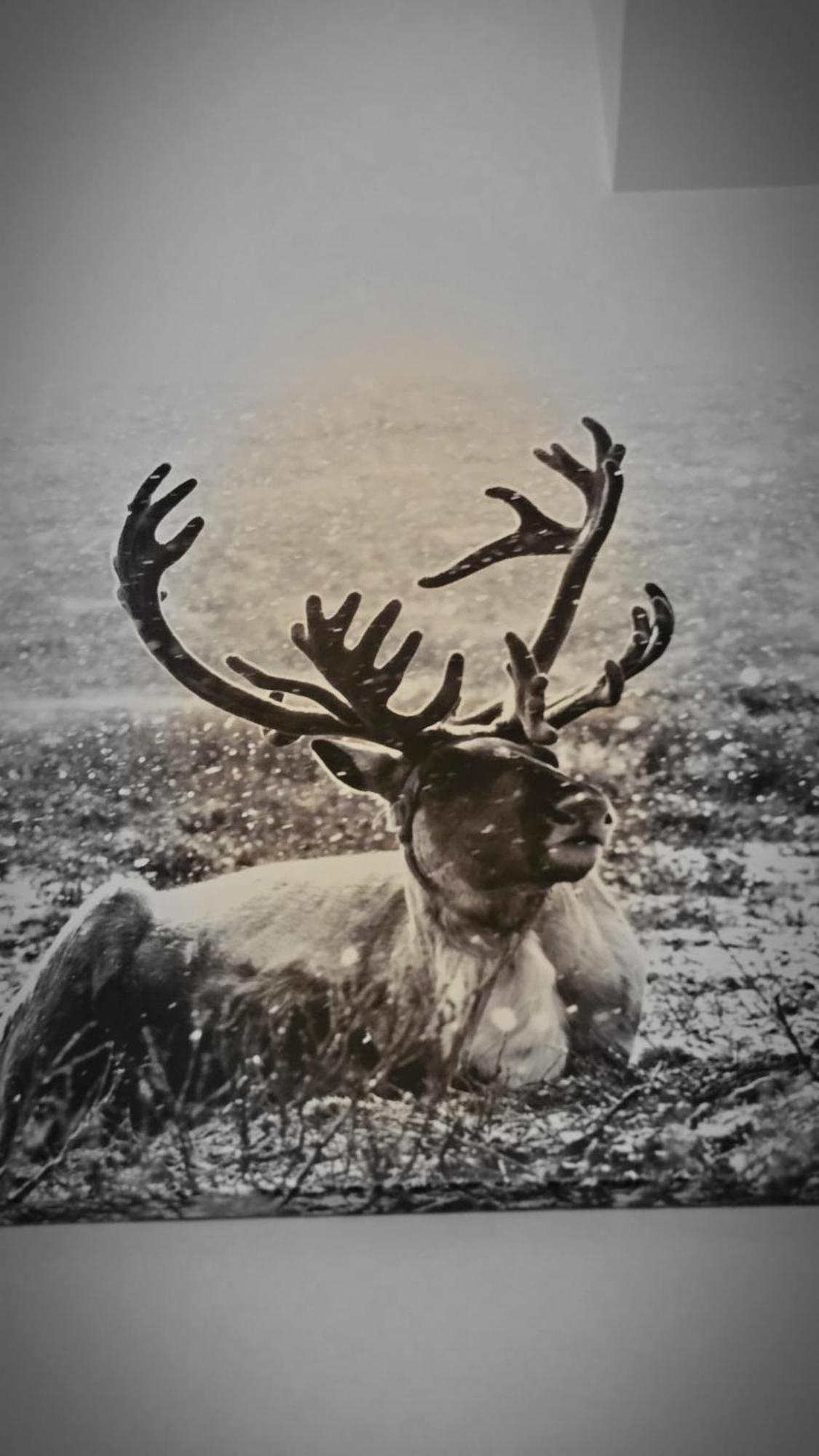 Photo 47