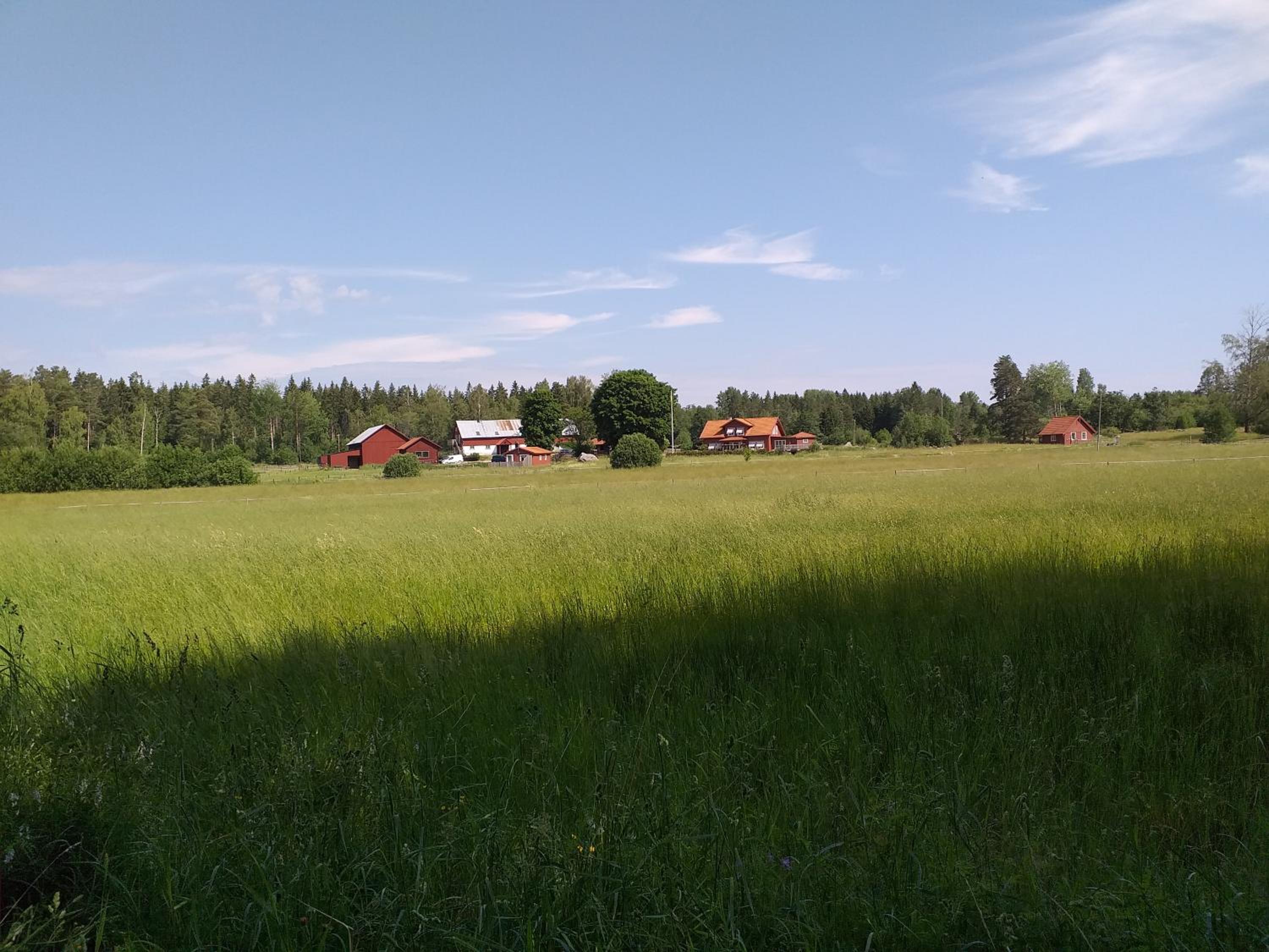 Lotta´s Cottage view 2