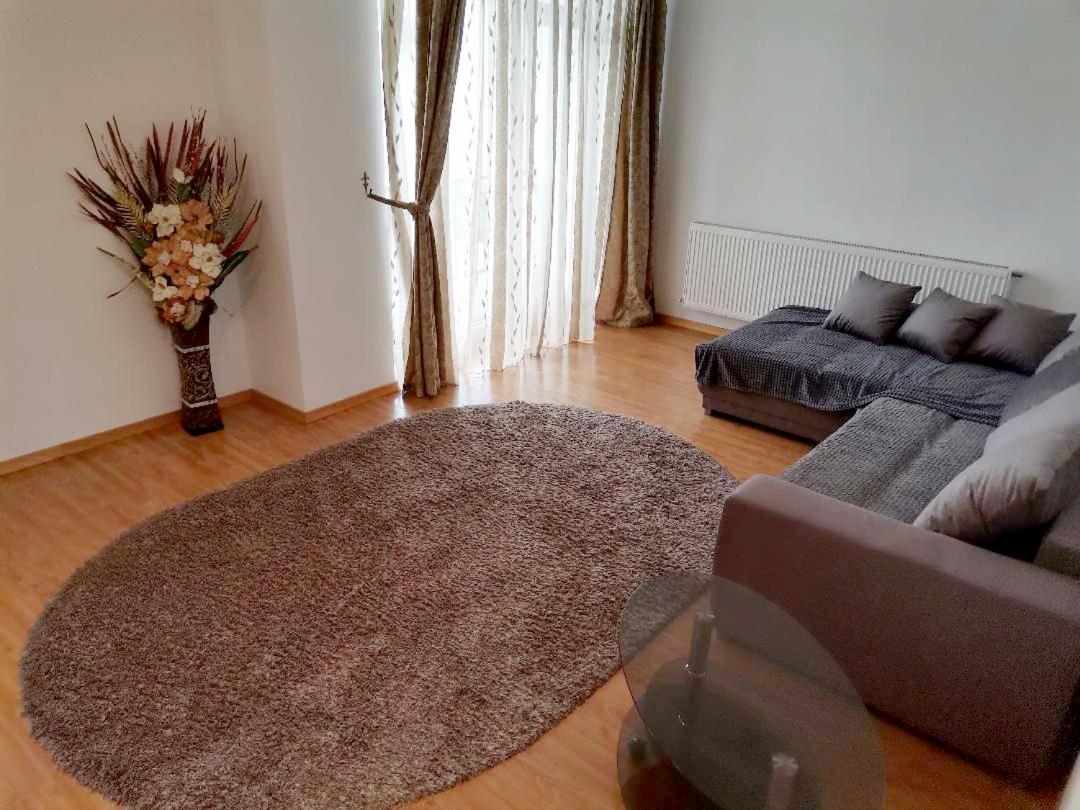 Apartament Selimbar view 3