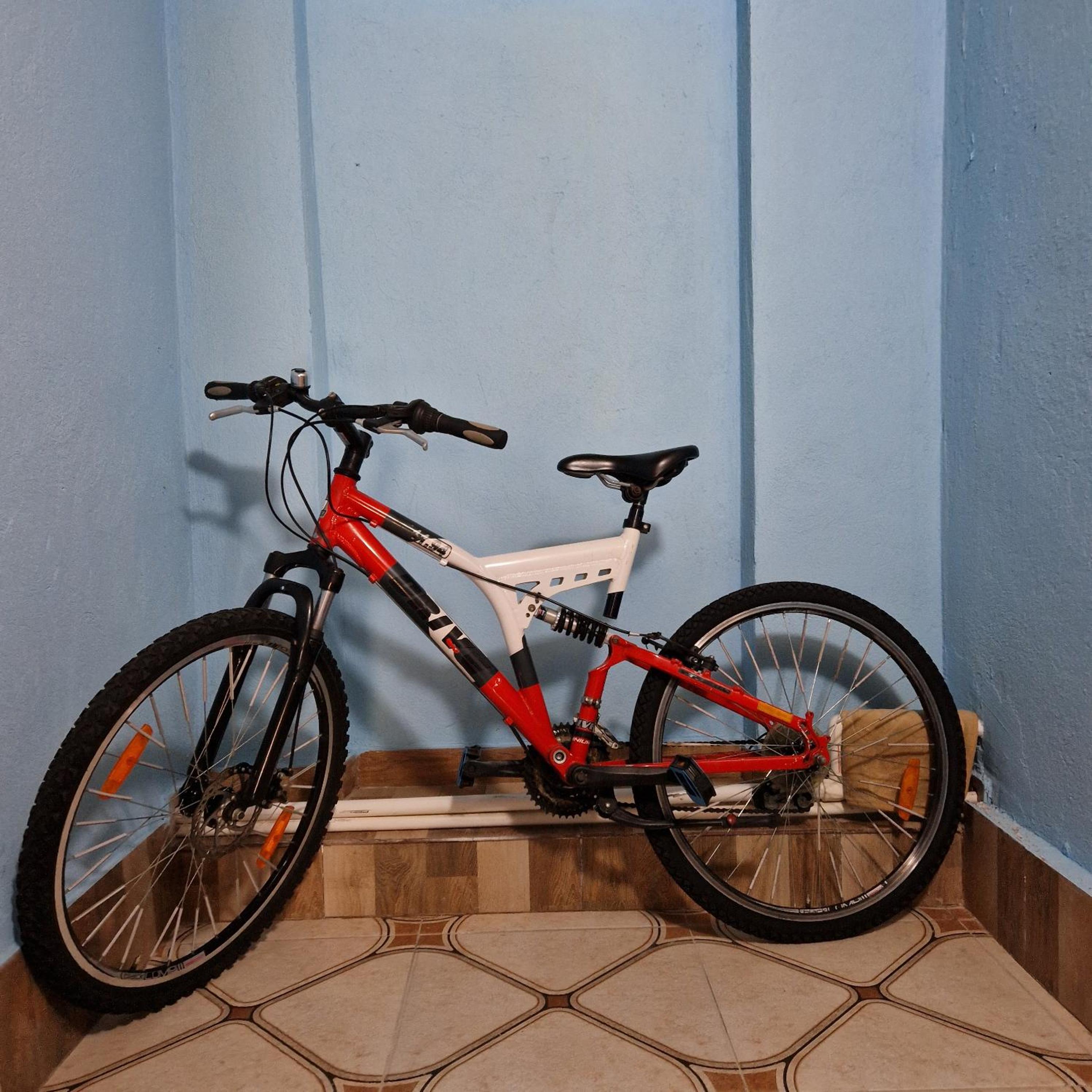 Photo 15