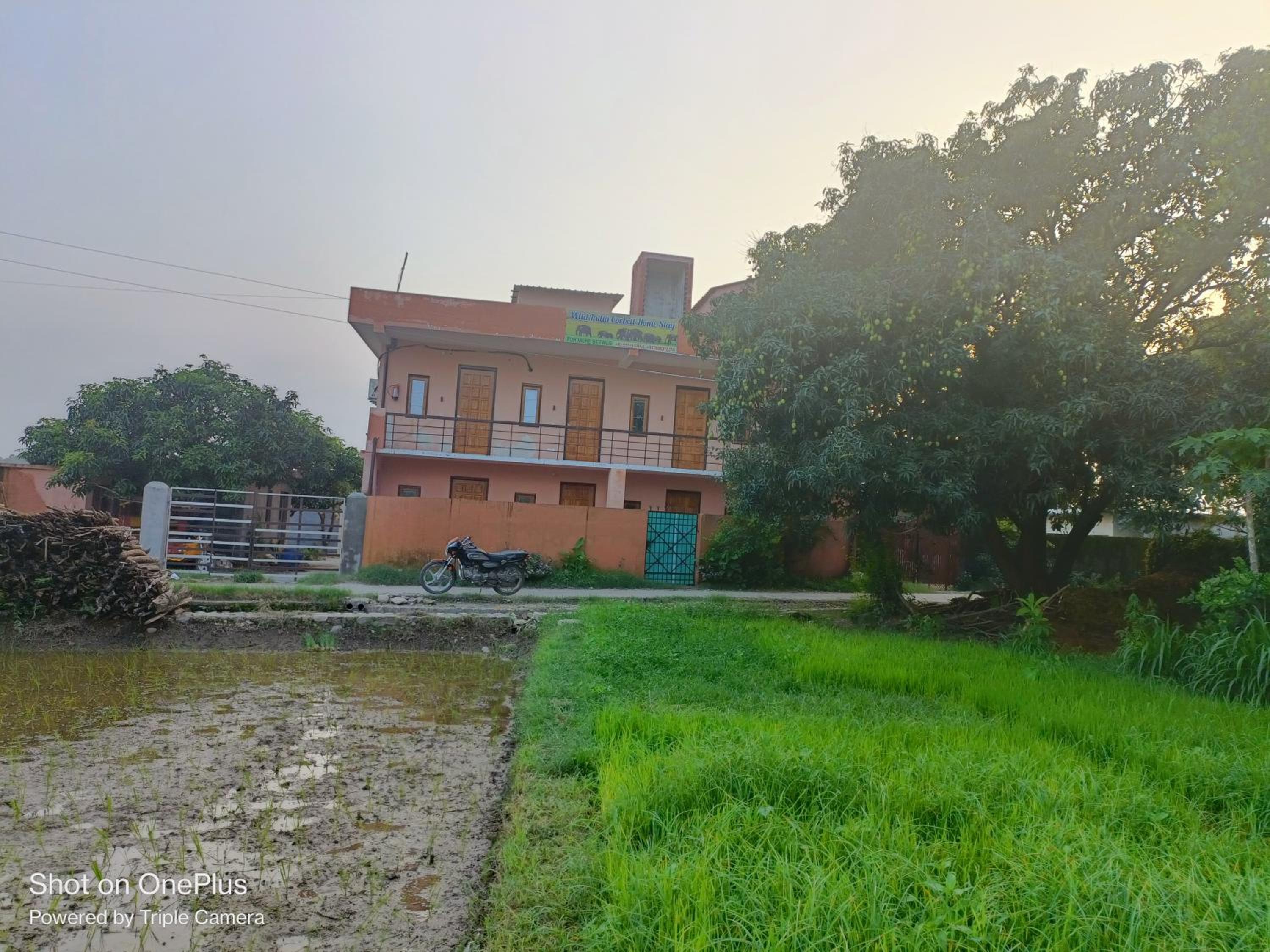 Wild House Home stay view 3