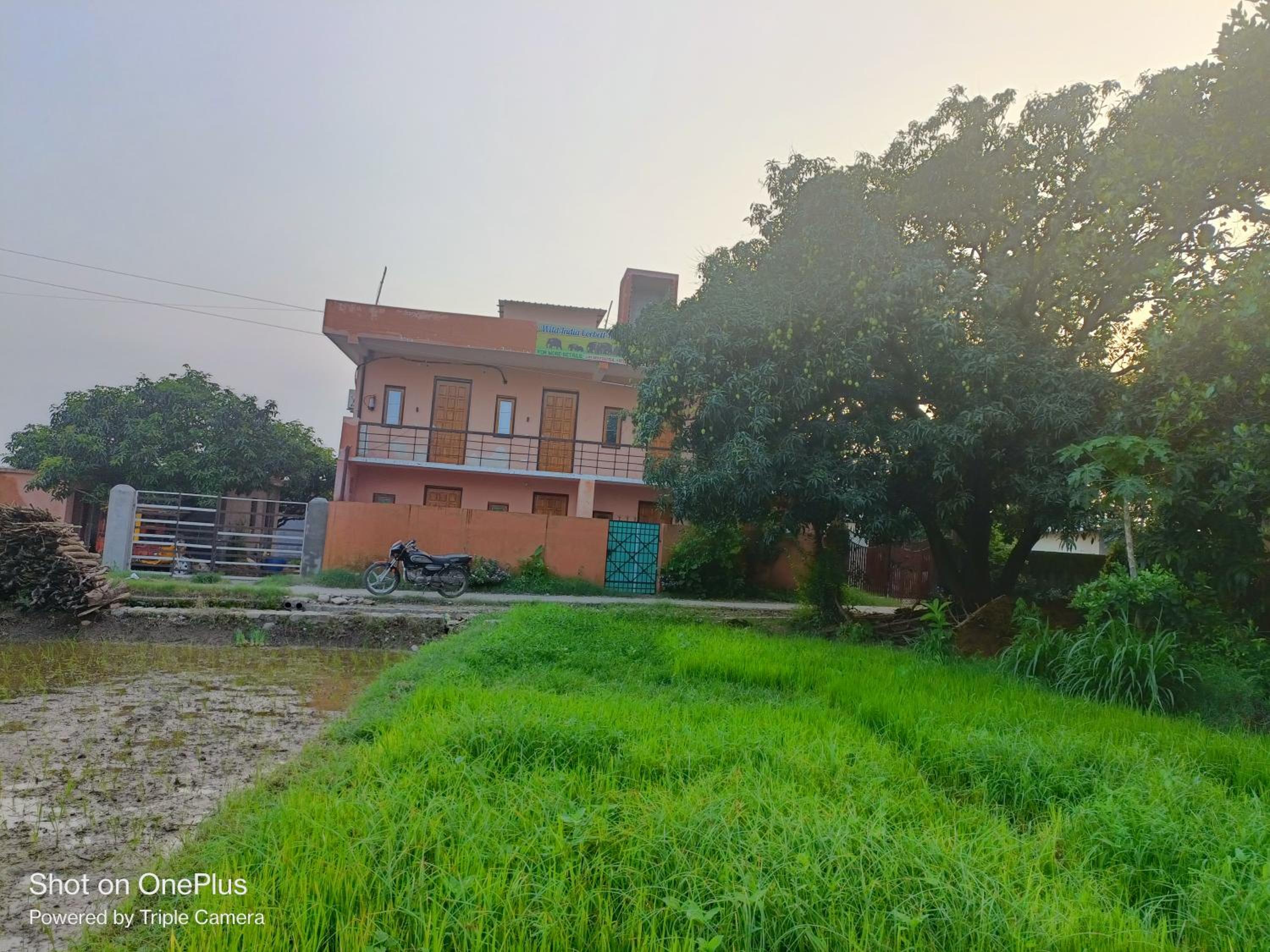 Wild House Home stay view 2