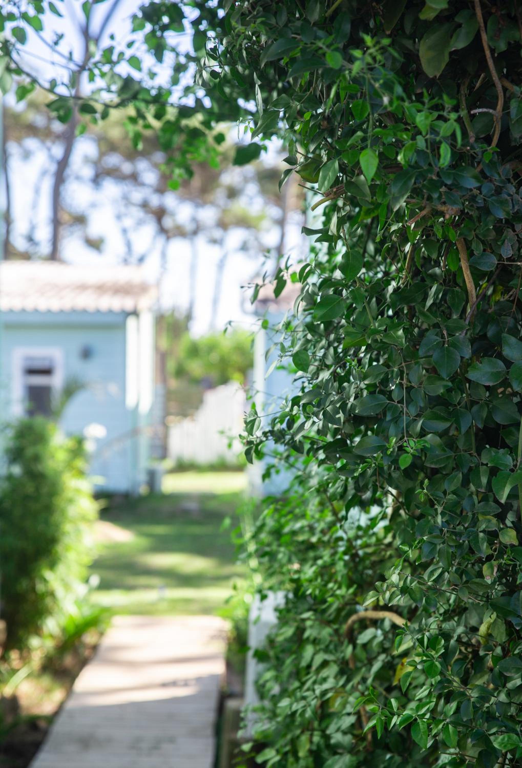 Koru Homes