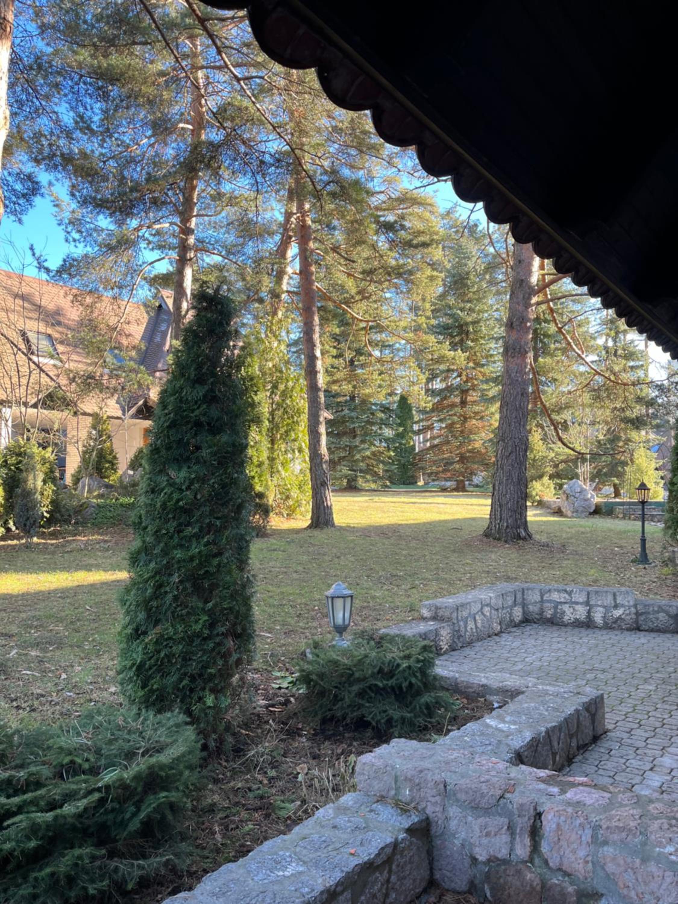 Photo 19