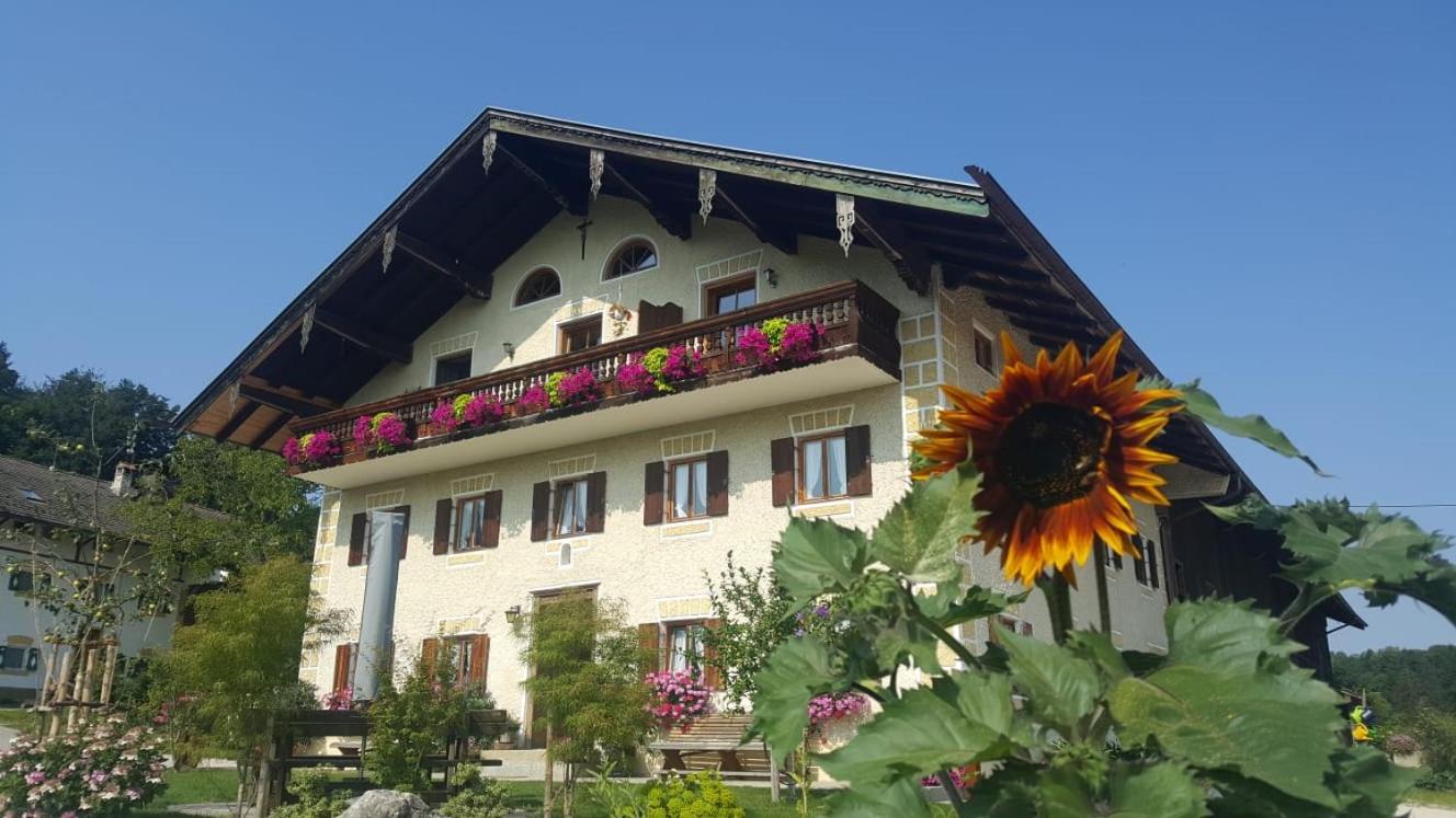 Weissnhof