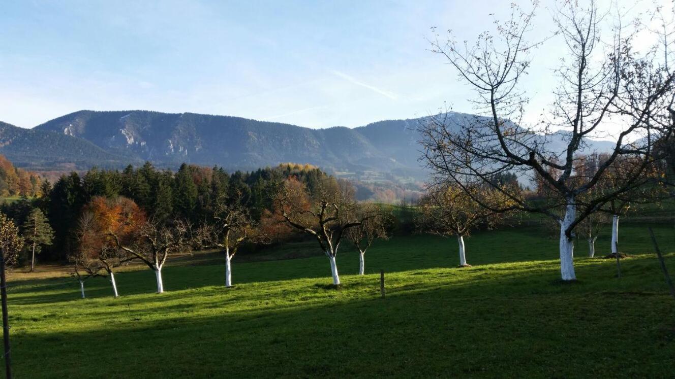 Weissnhof