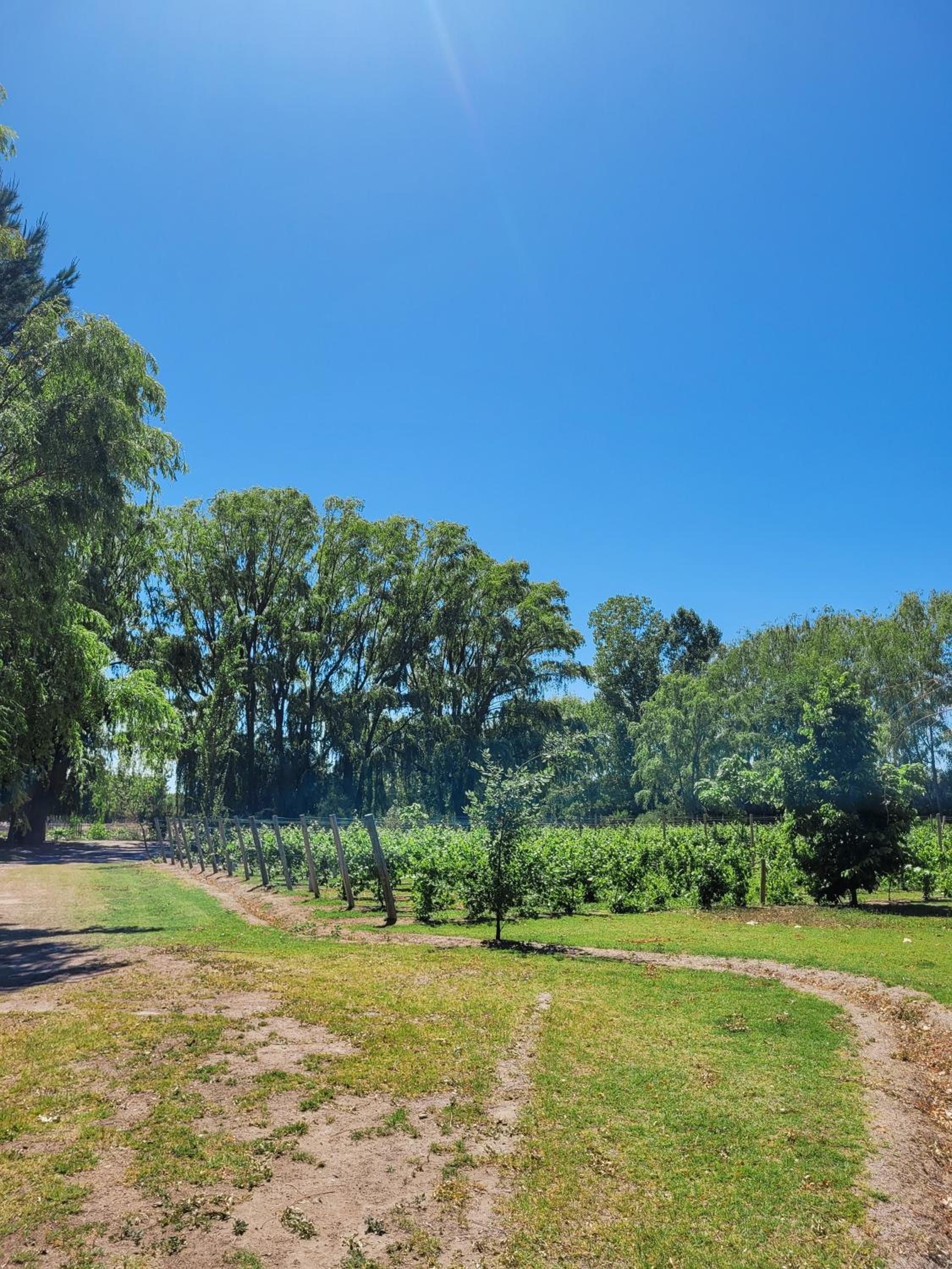 Finca La Saucina Casa de Campo