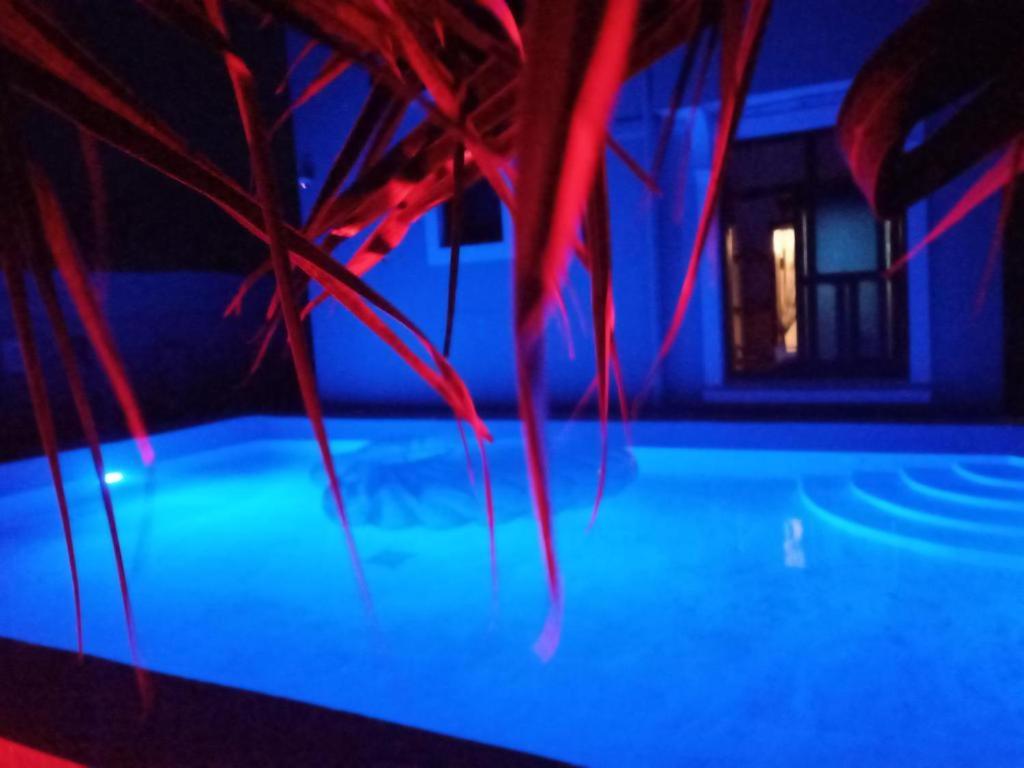 Jambo Kendwa Villa view 2