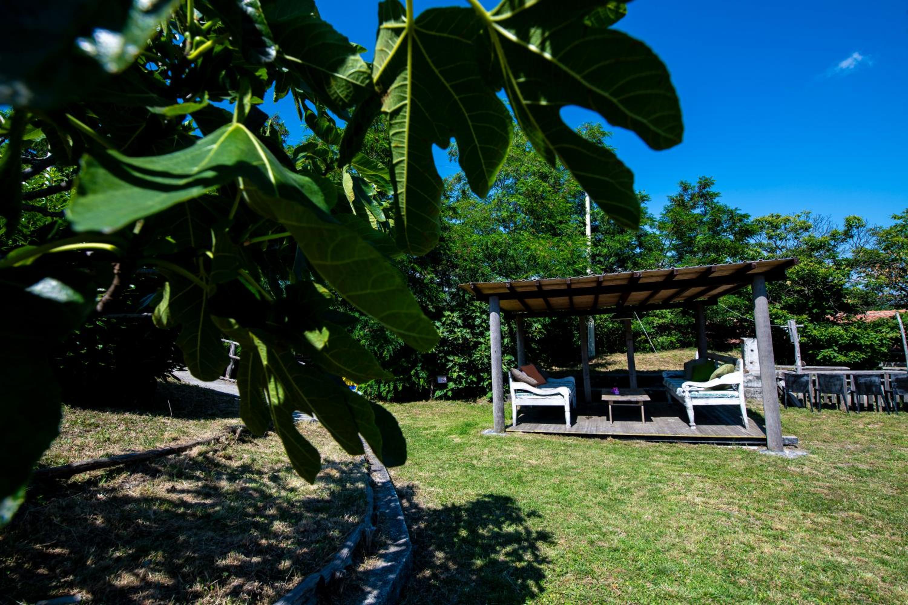 205 - Appartamento Ciliegio, Giardino e Piscina - Residence Cherry House view 5