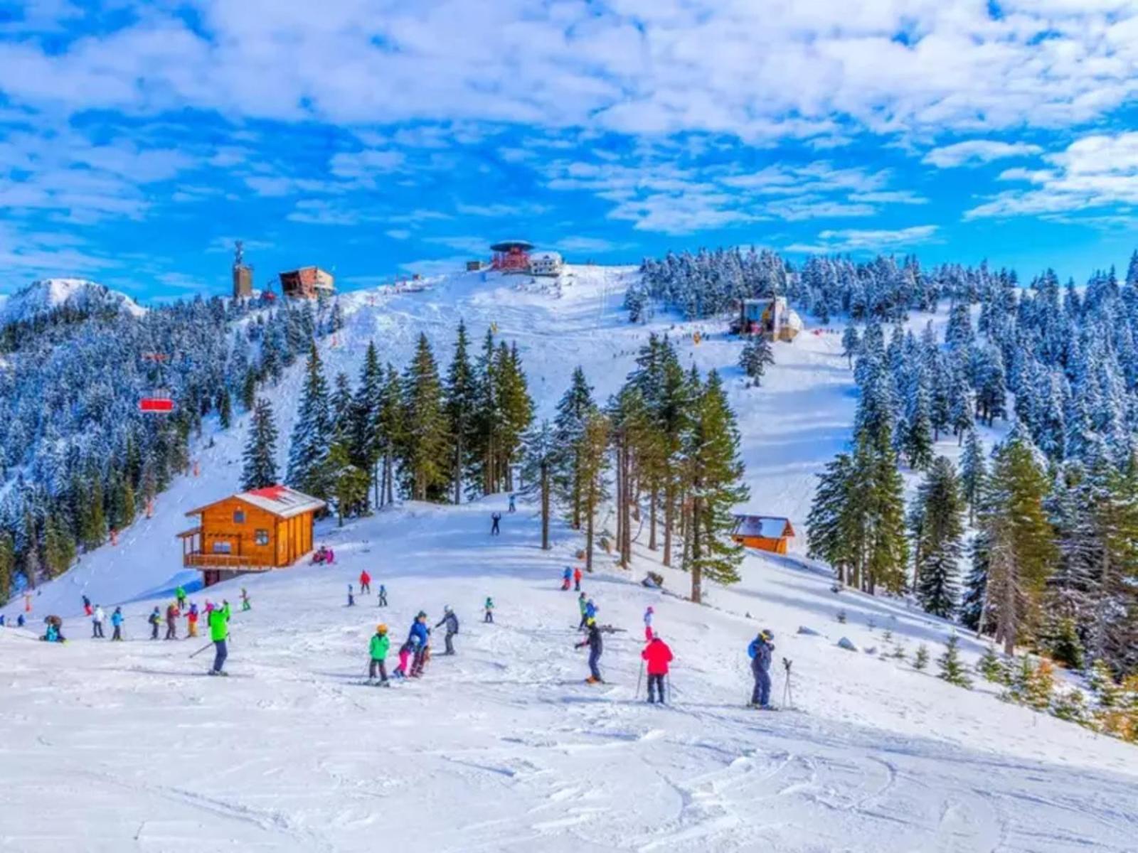 Ski Retreat view 5