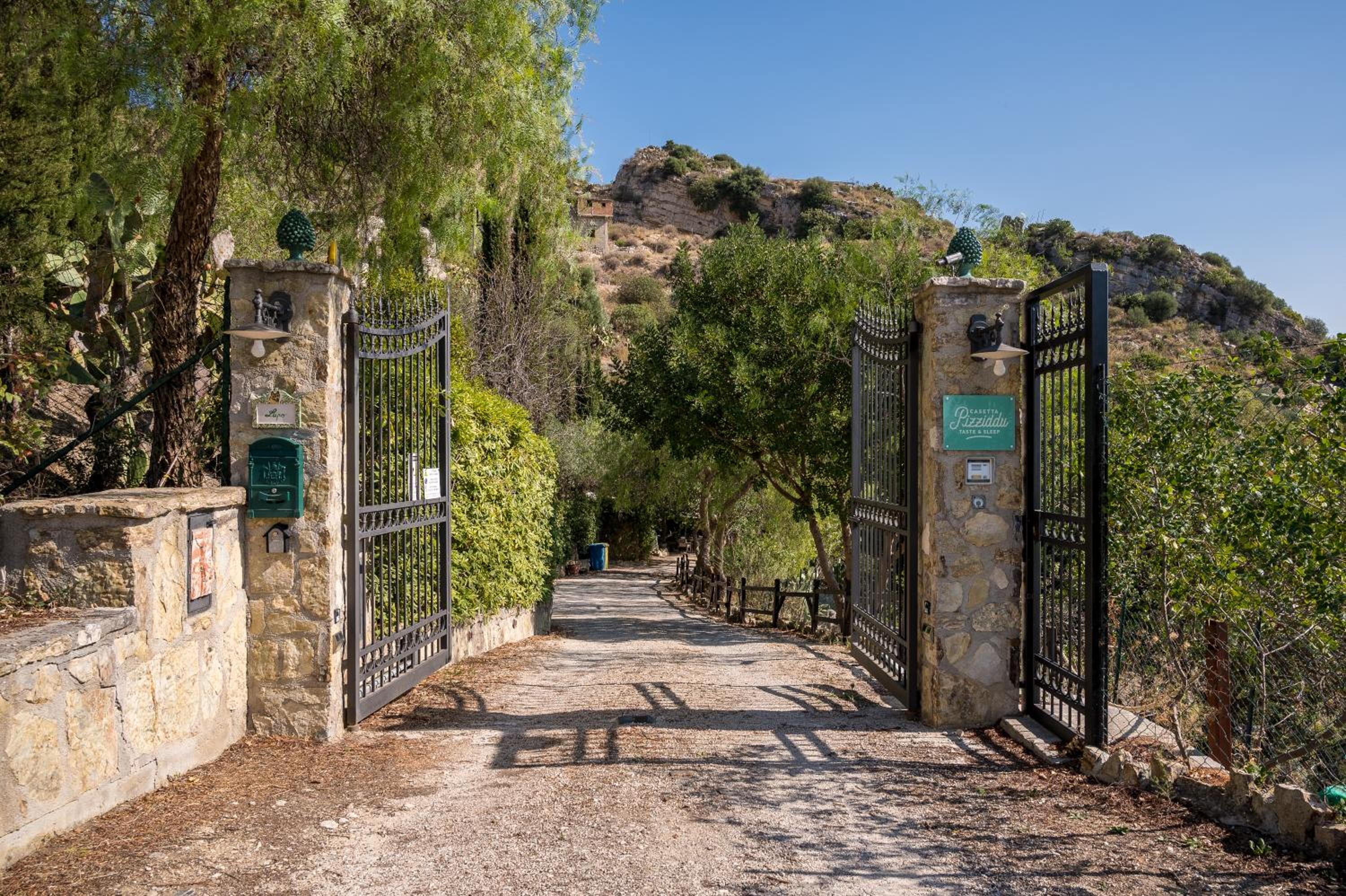 Photo 42