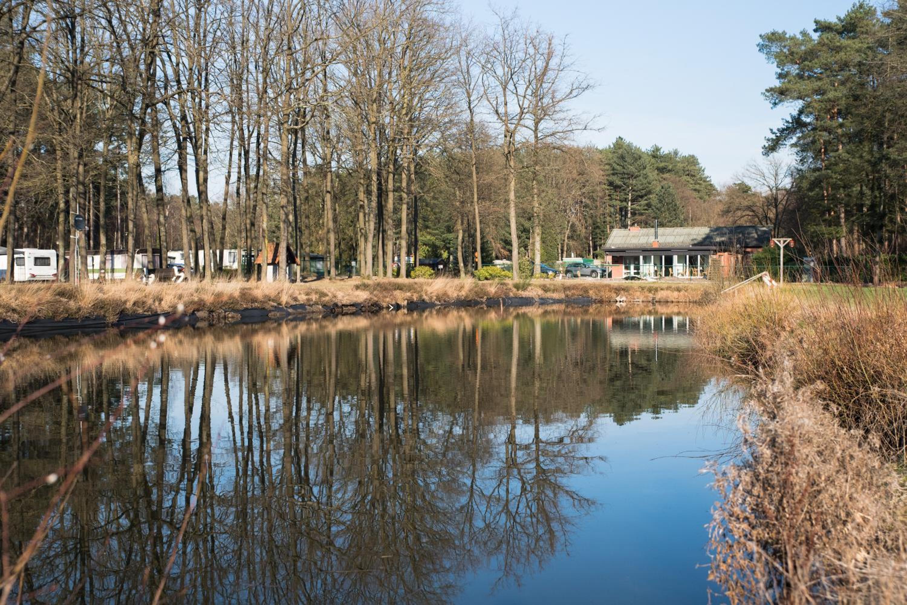 Camping het Swinnenbos