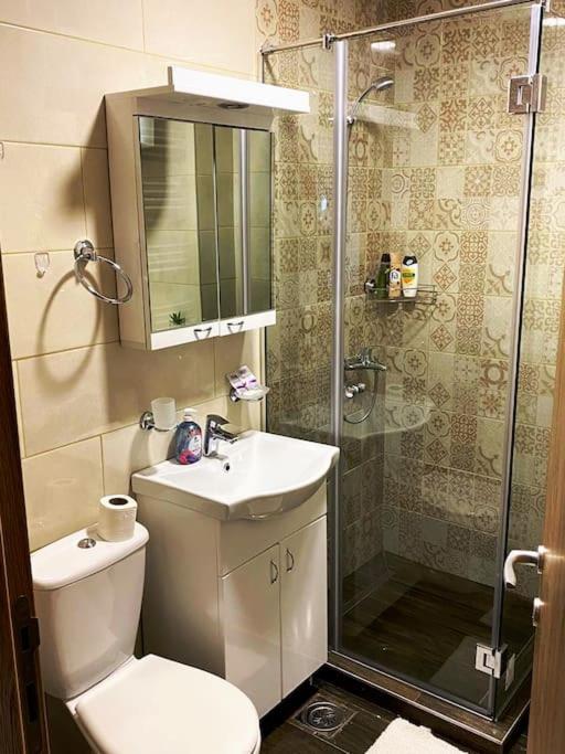 Apartmani Ceranski Zlatibor view 5