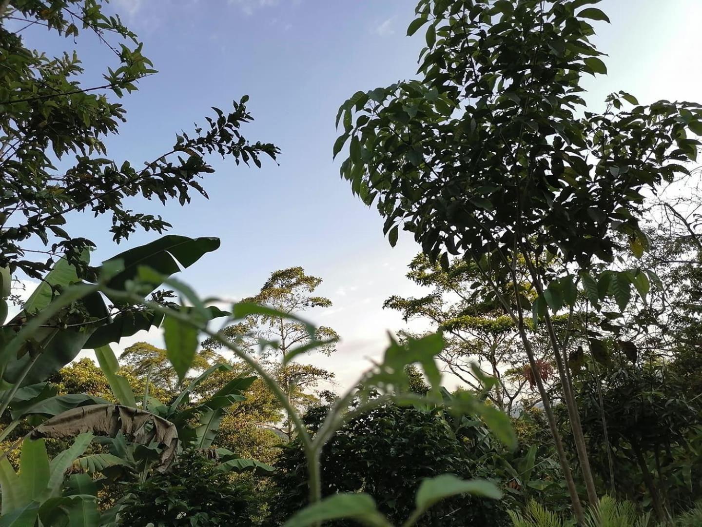 TROPICAL BIOHOSTEL