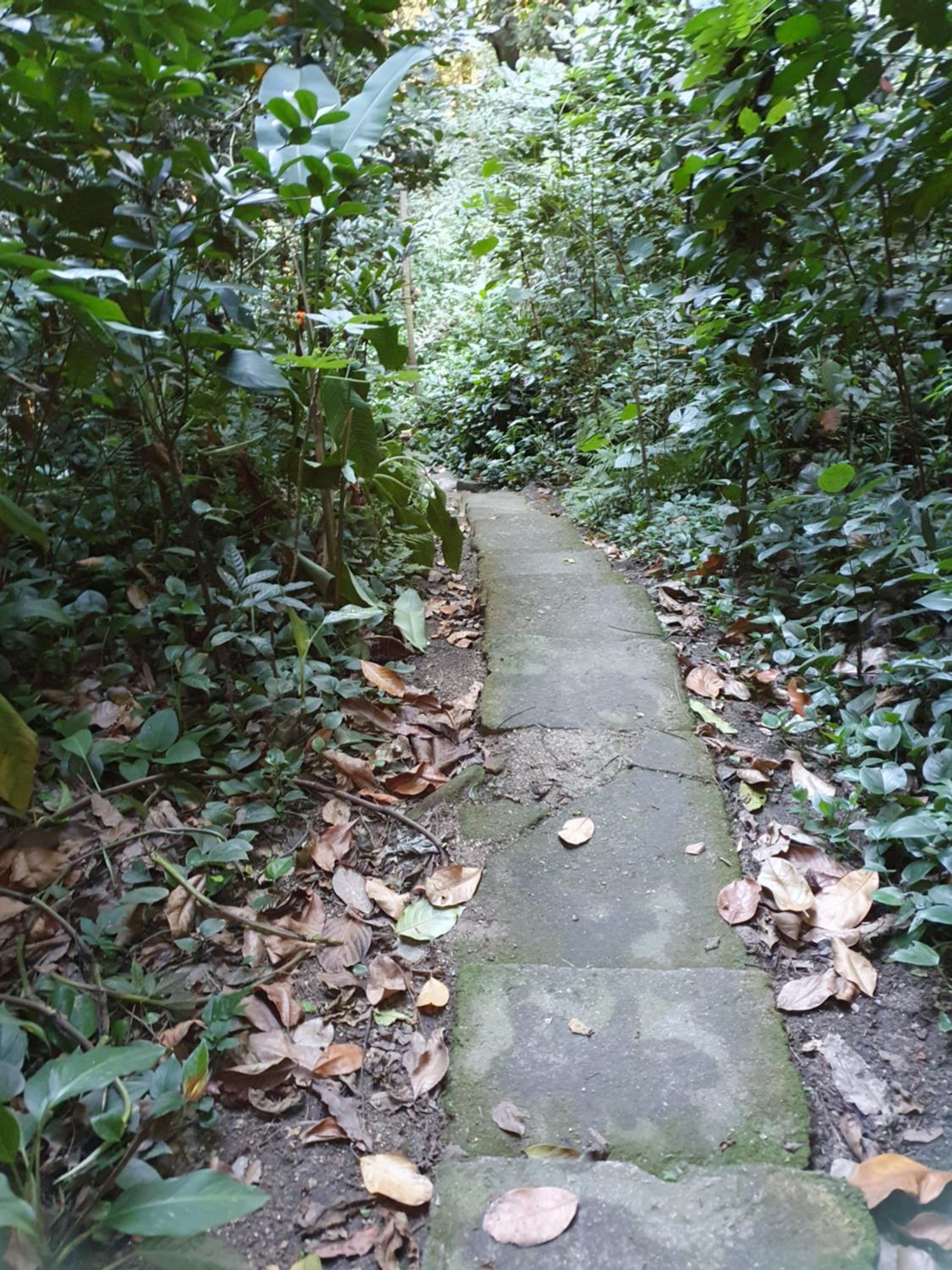 Photo 42