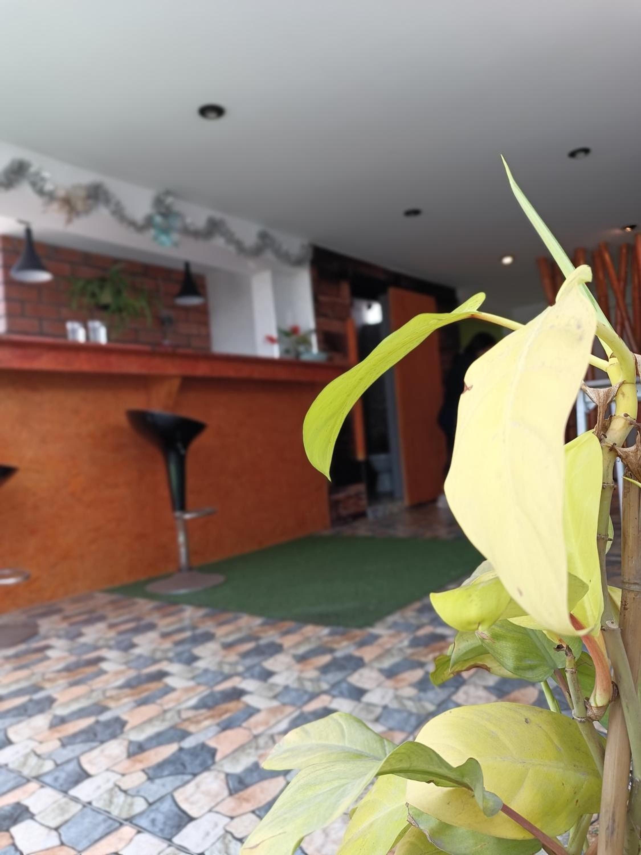 Departamento PET Friendly view 5