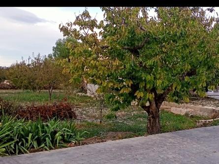 Casa rural Alemanes