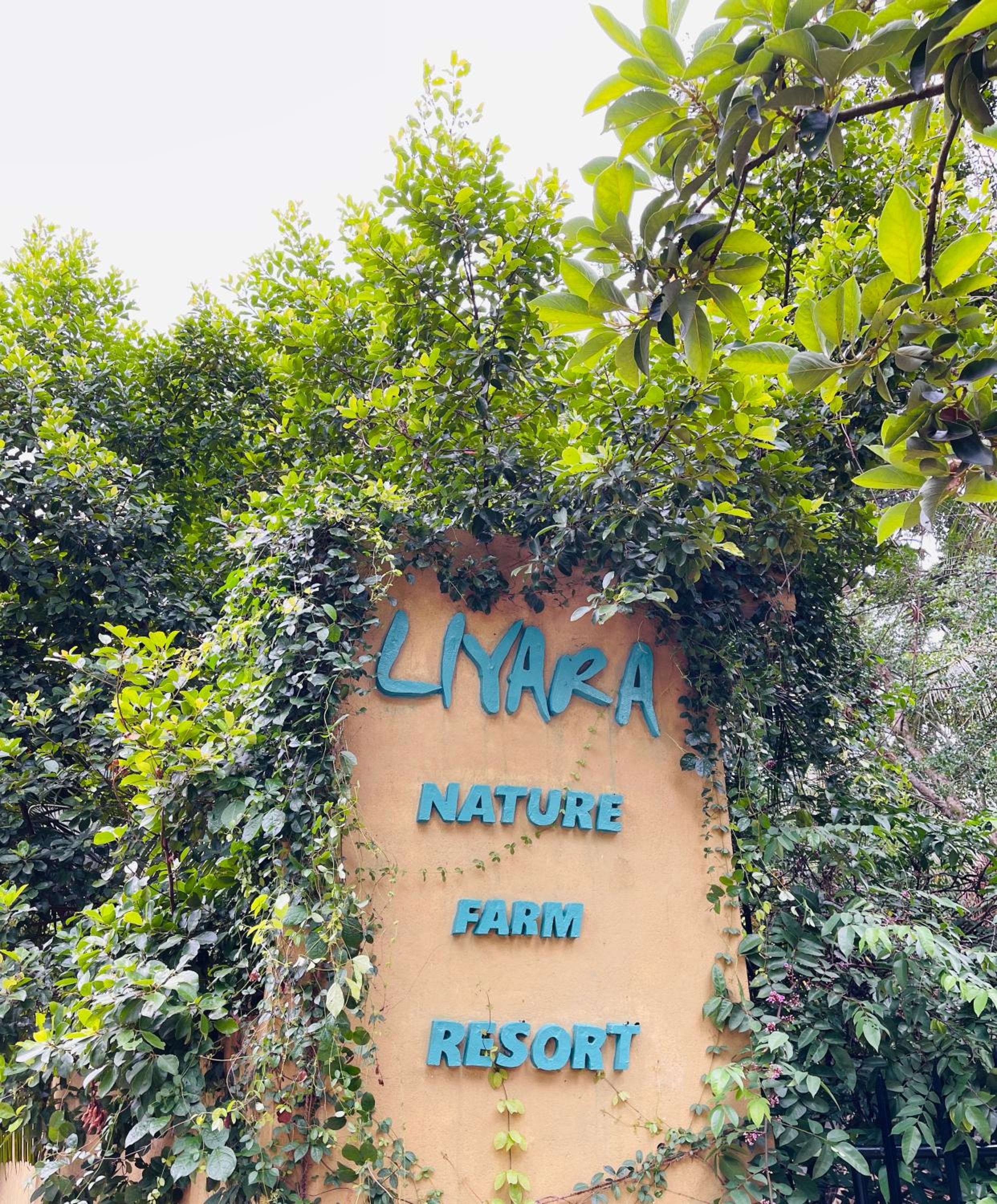 Liyara Nature Farm Resort view 4
