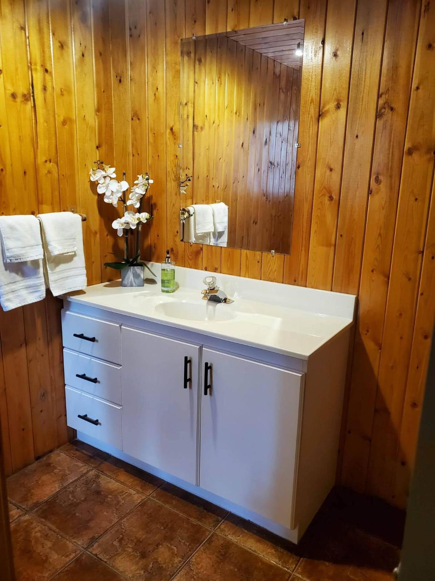 Rocky Mountain Escape Dome & Log Cabin Rentals - Rock Lake view 5