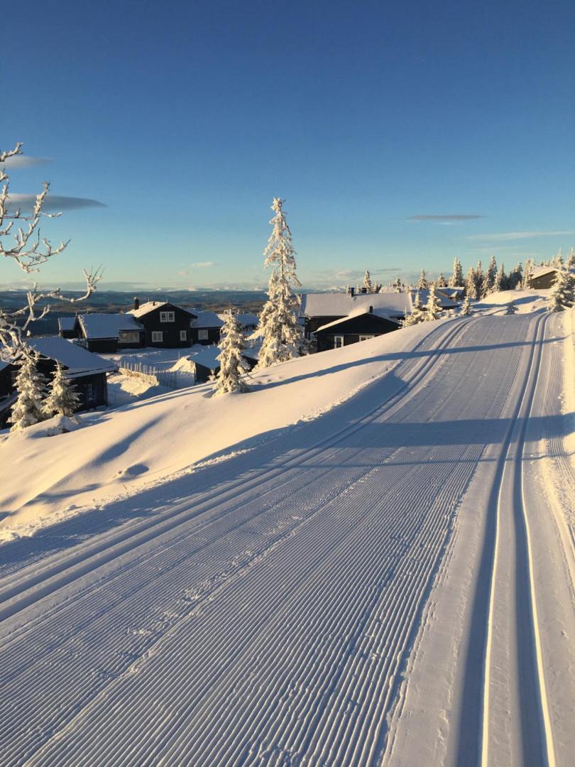 Photo 32