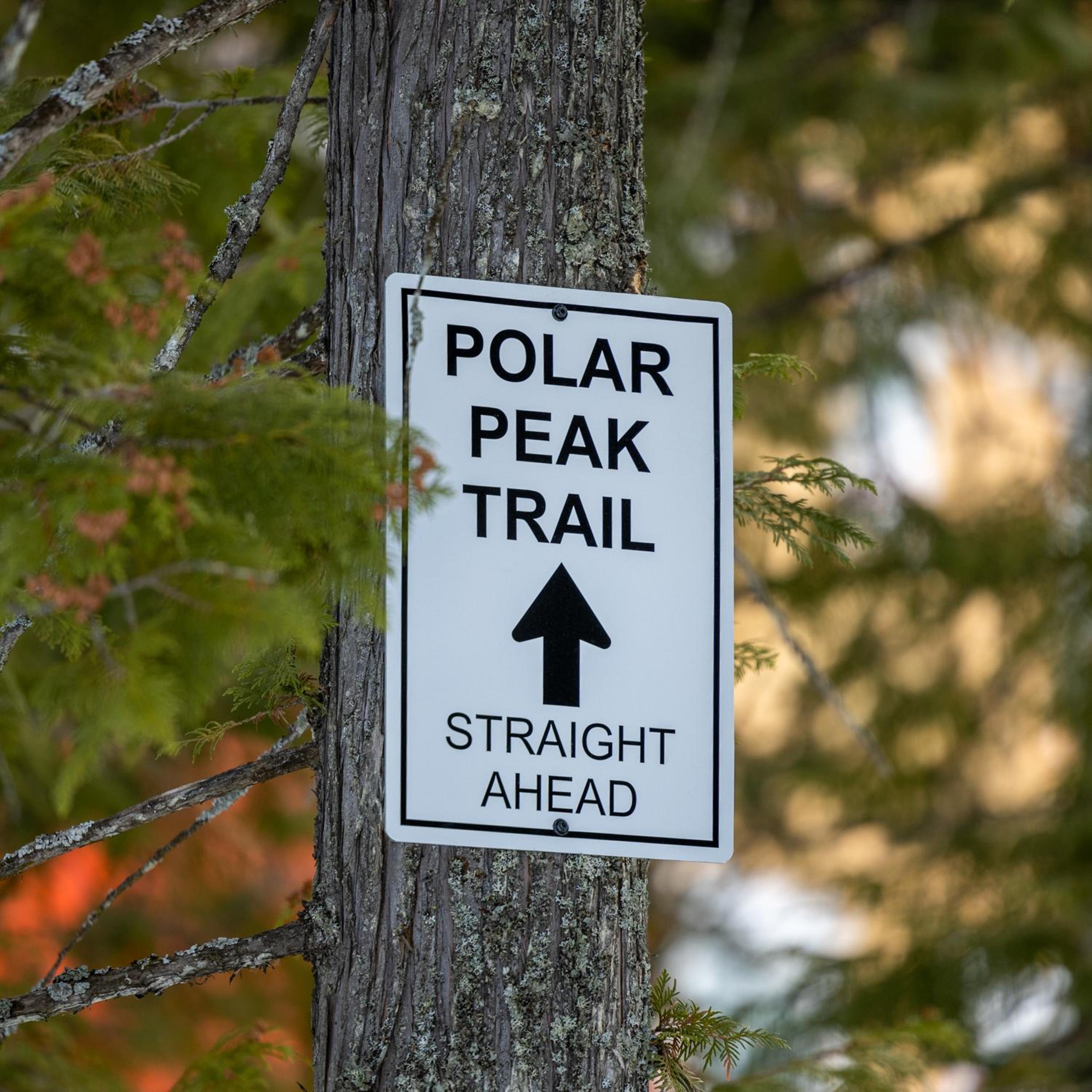 Polar Peak Lodges by Fernie Central Reservations