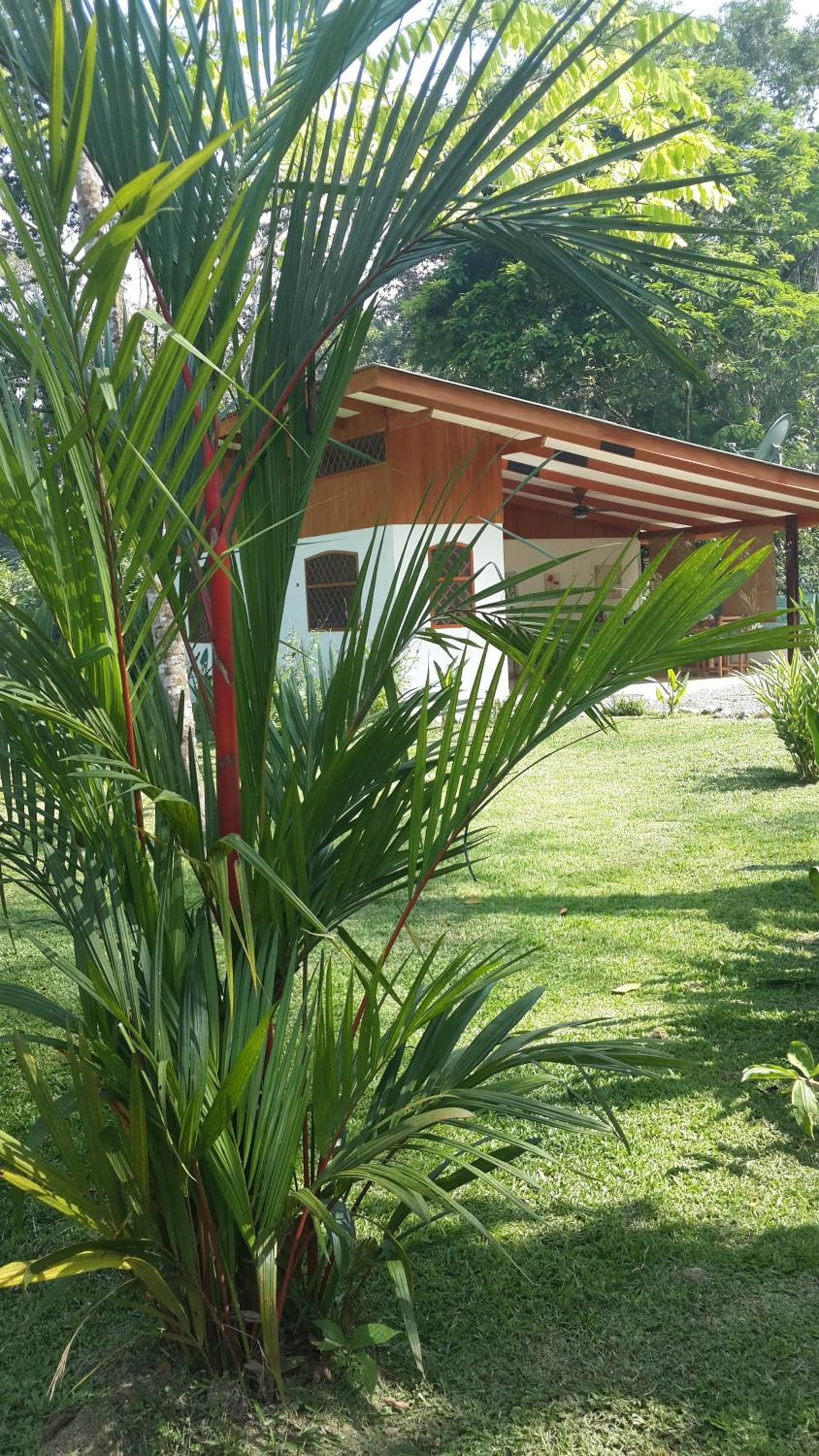 Los Delfines Lodge