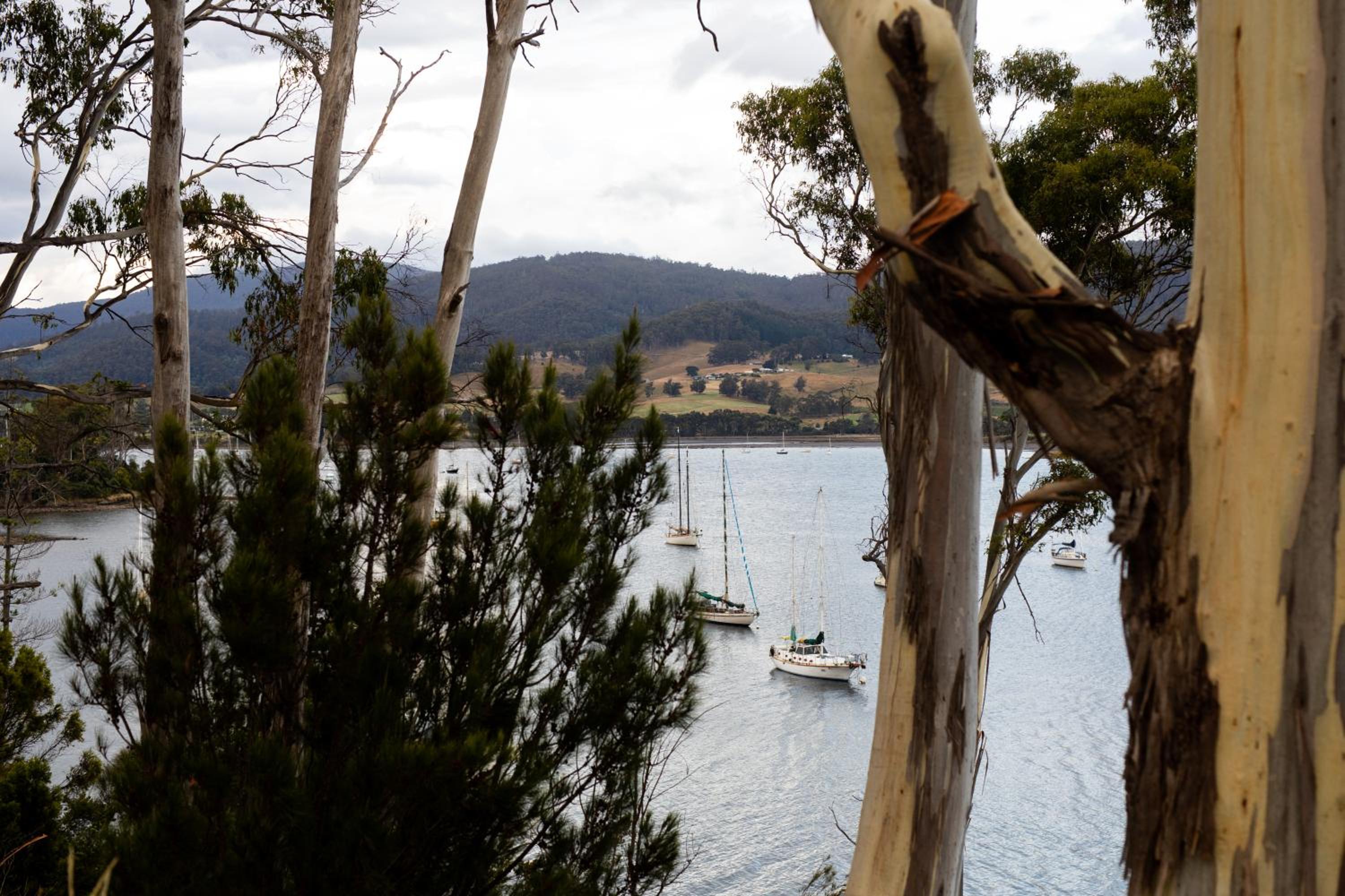 Woodland Bay Retreat-Hot tub,Sauna and Bayview Retreat