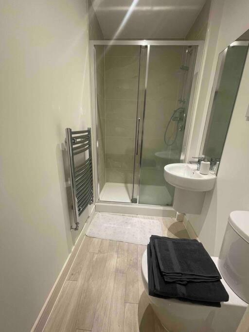 Beautiful Modern Tranquil Two Bedroom Apartment view 5