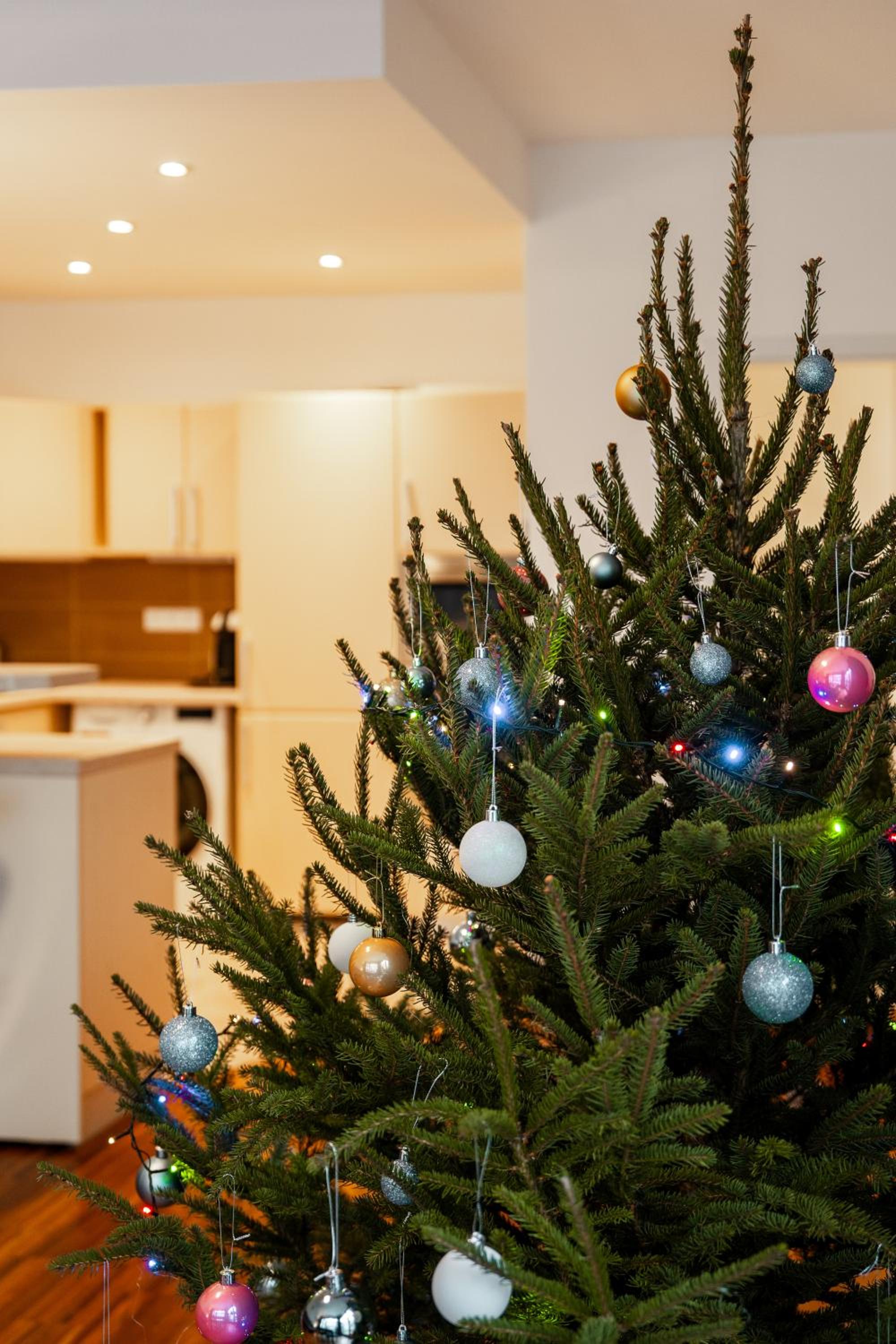 AuriApartments Karlín 2KK s terasou a parkováním