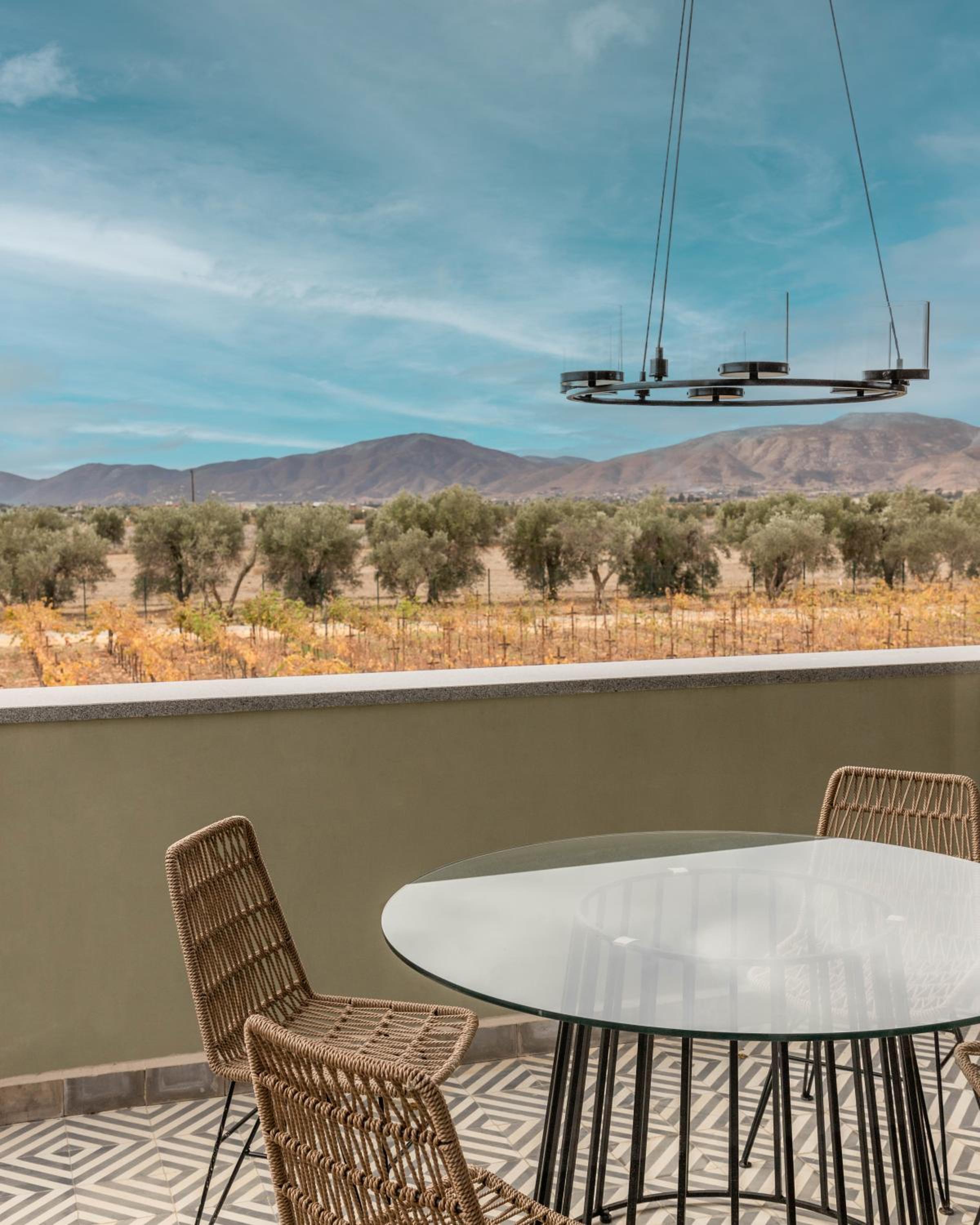 balance & terrace