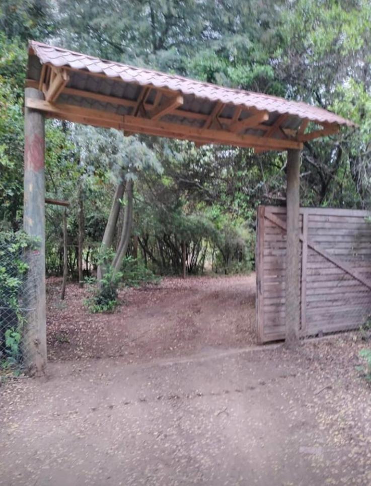 Bosque de Vilches