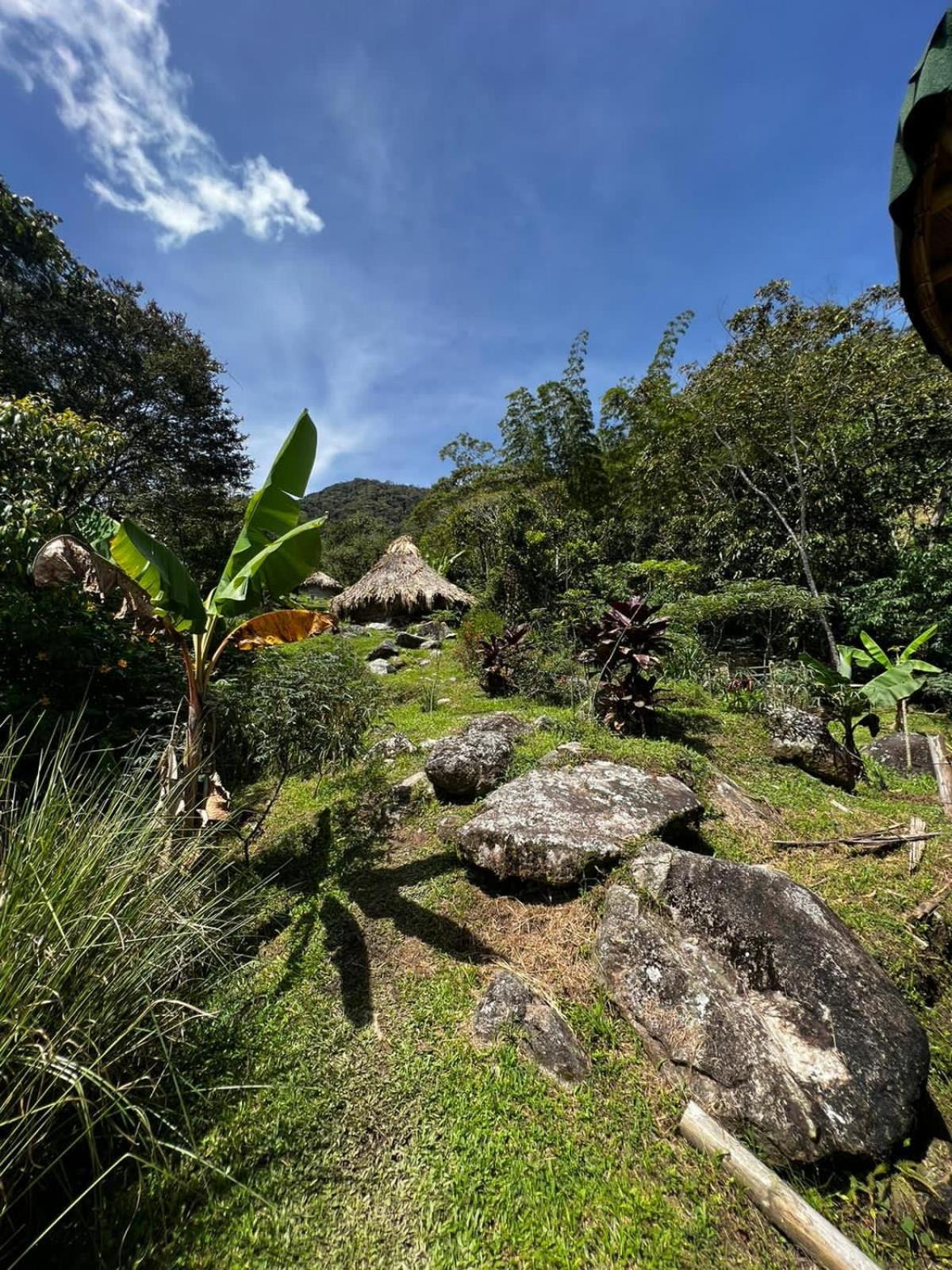 Reserva Wanaka, San Carlos