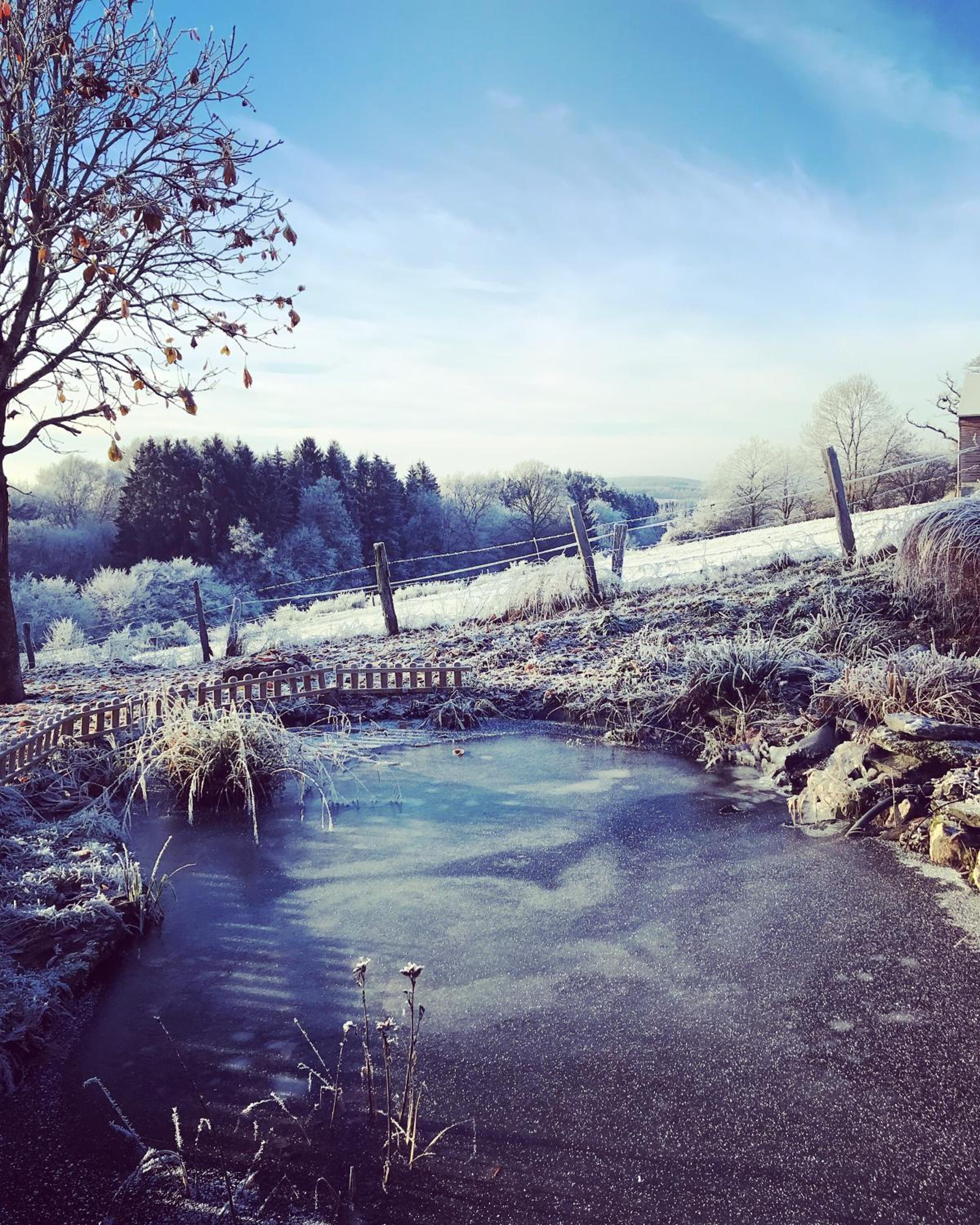 La Vieille Forge B&B