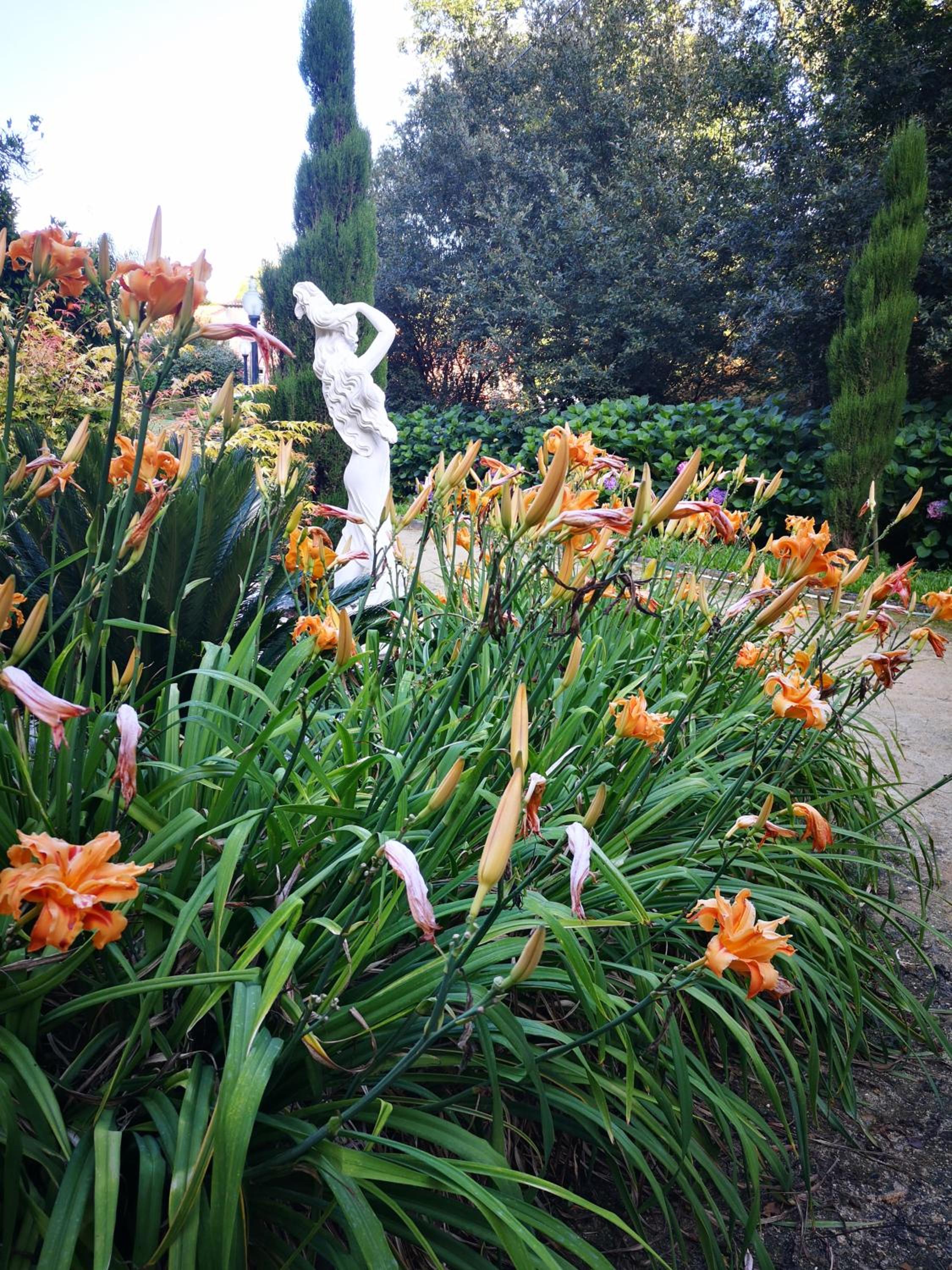 Photo 45