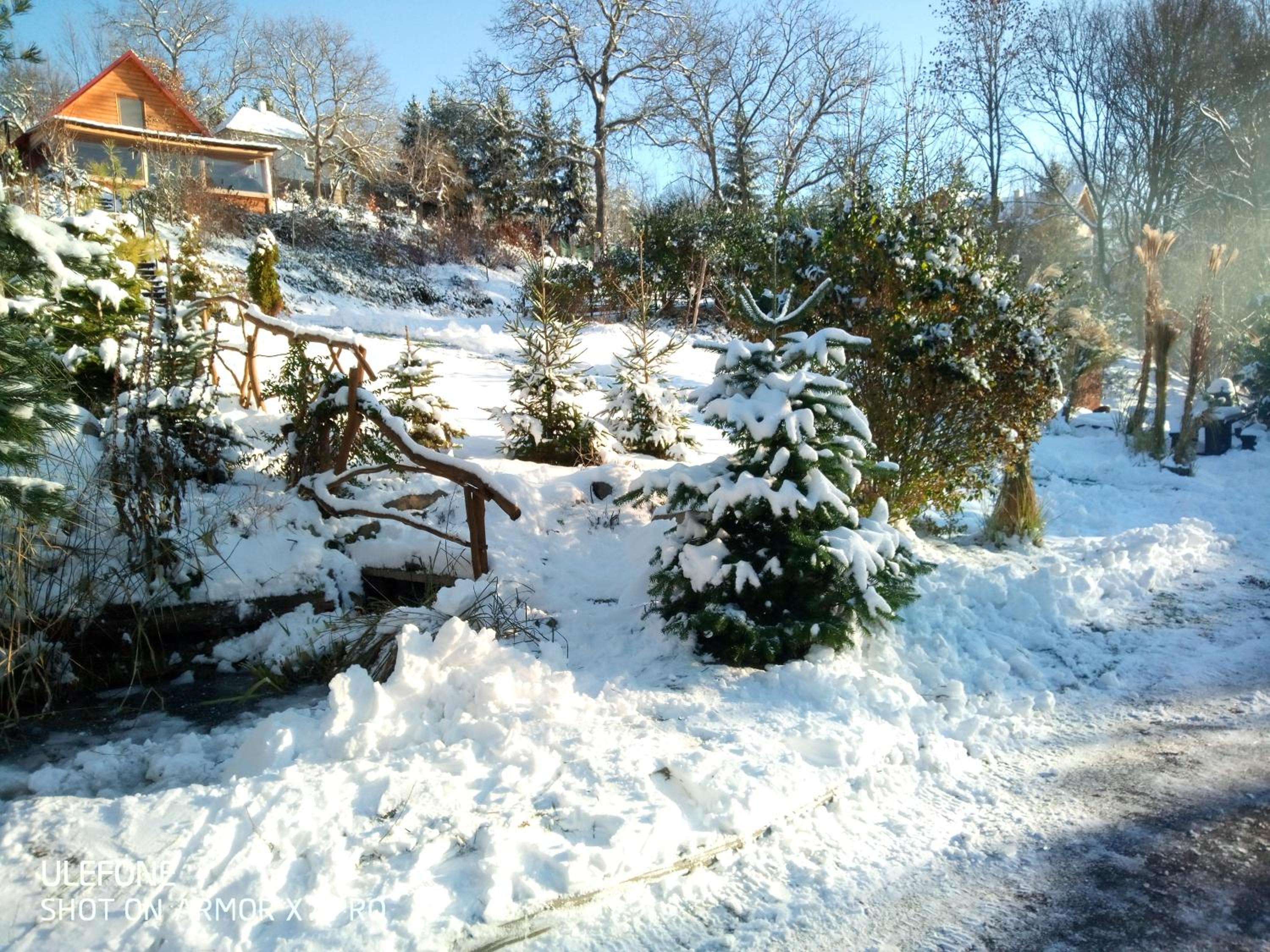 Photo 47
