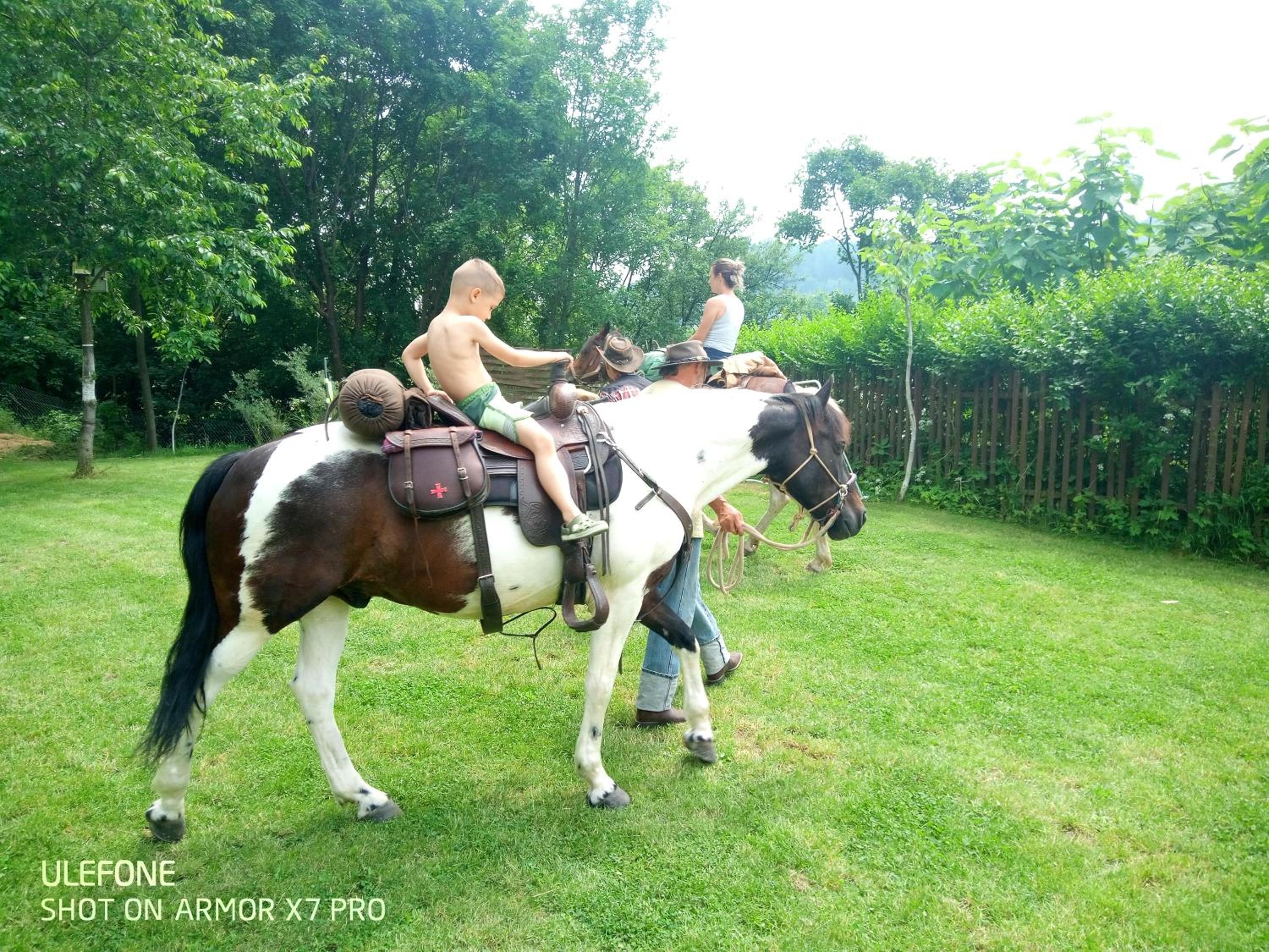 Photo 46