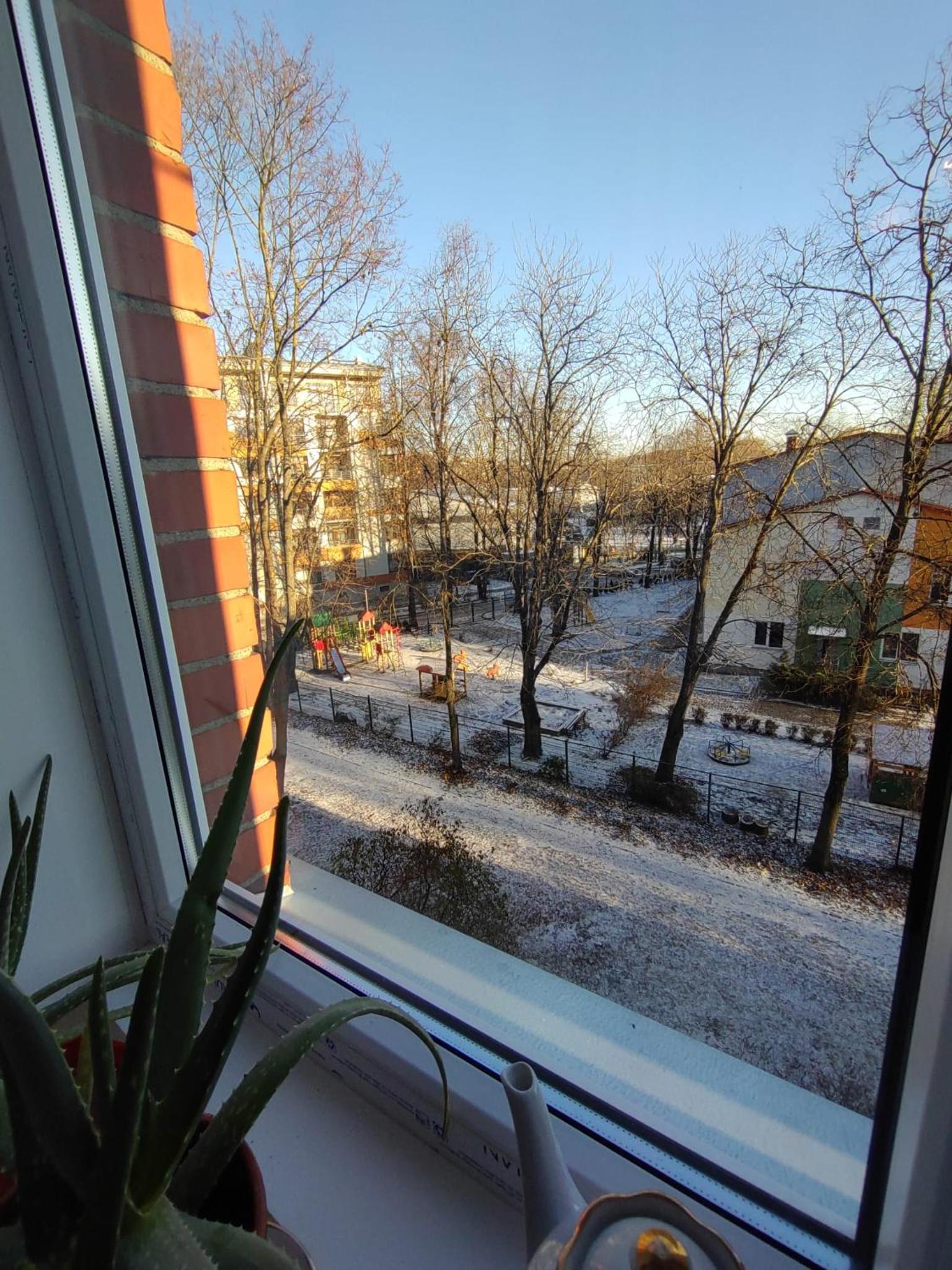 Saknes apartamenti