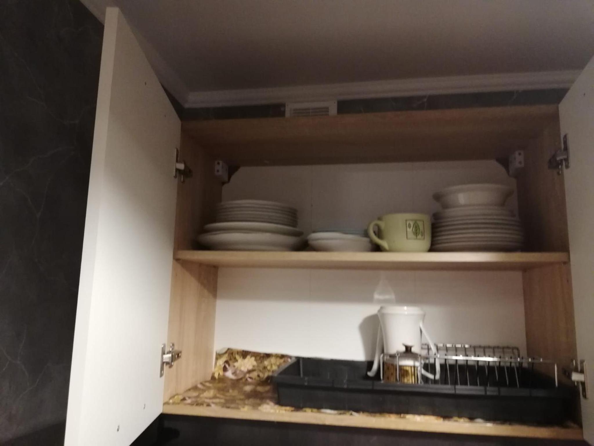 Saknes apartamenti