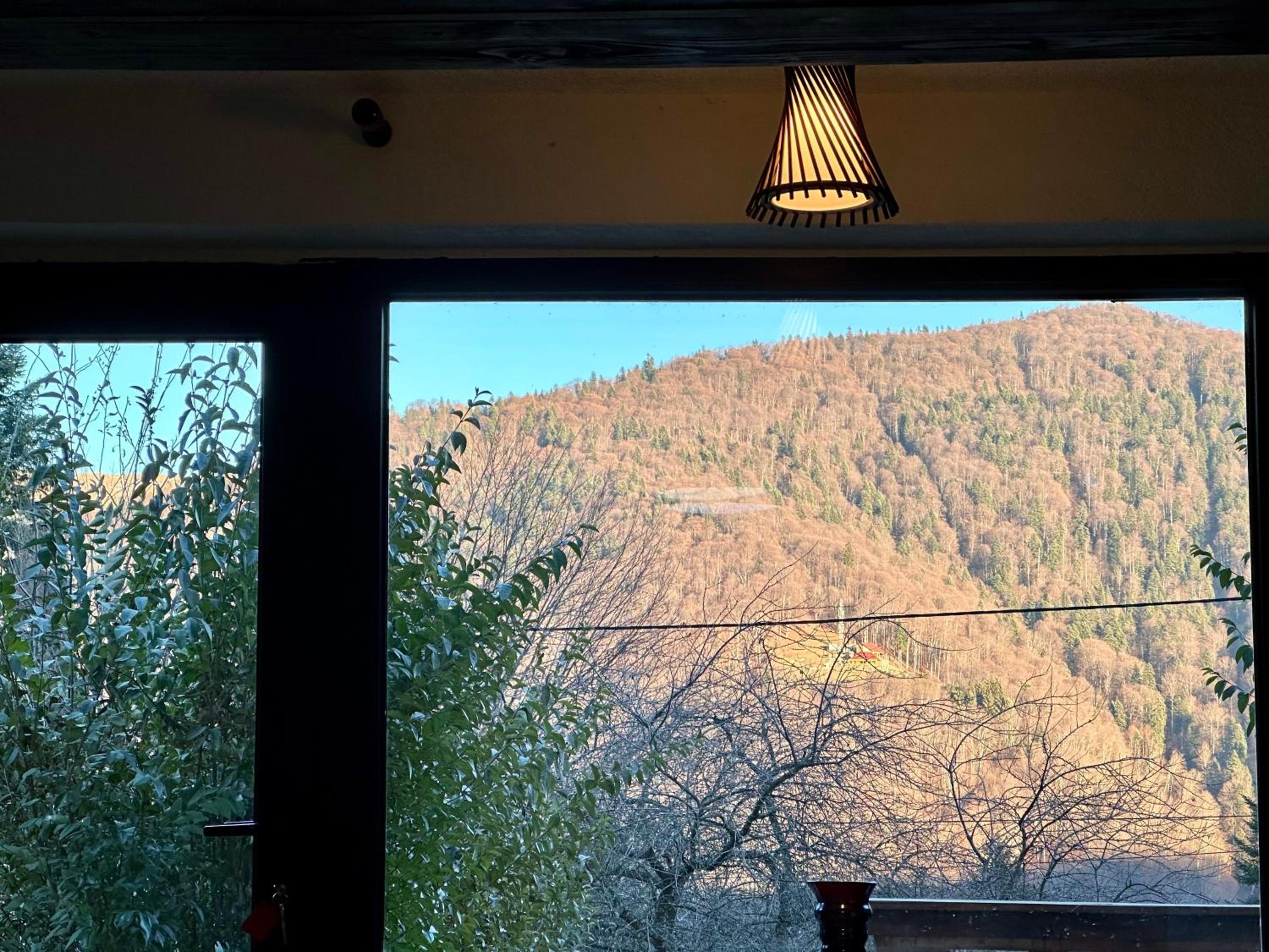 Iepurasul Sinaia