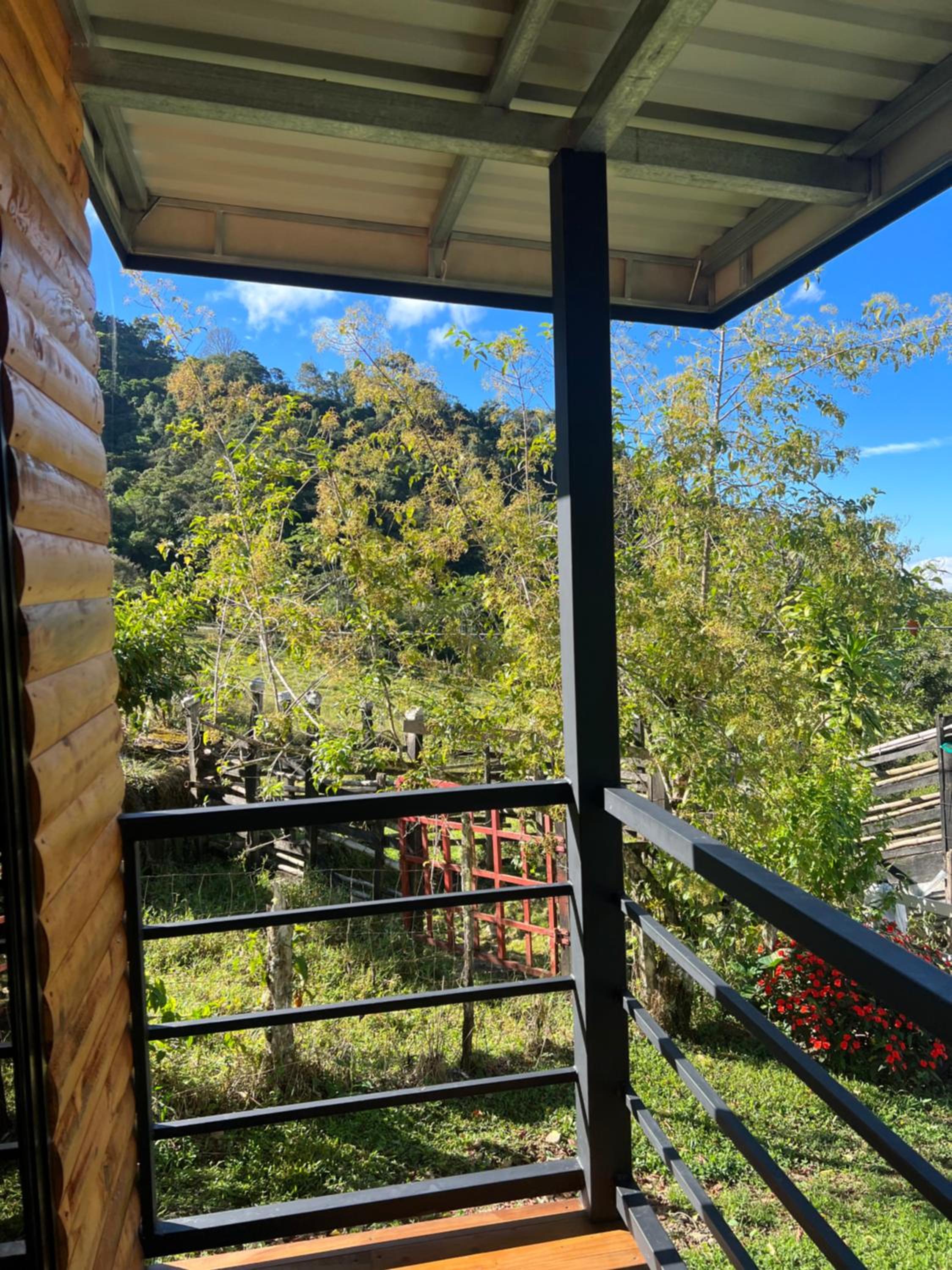 Rinconcito de Paz, Cedral, Pérez Zeledón