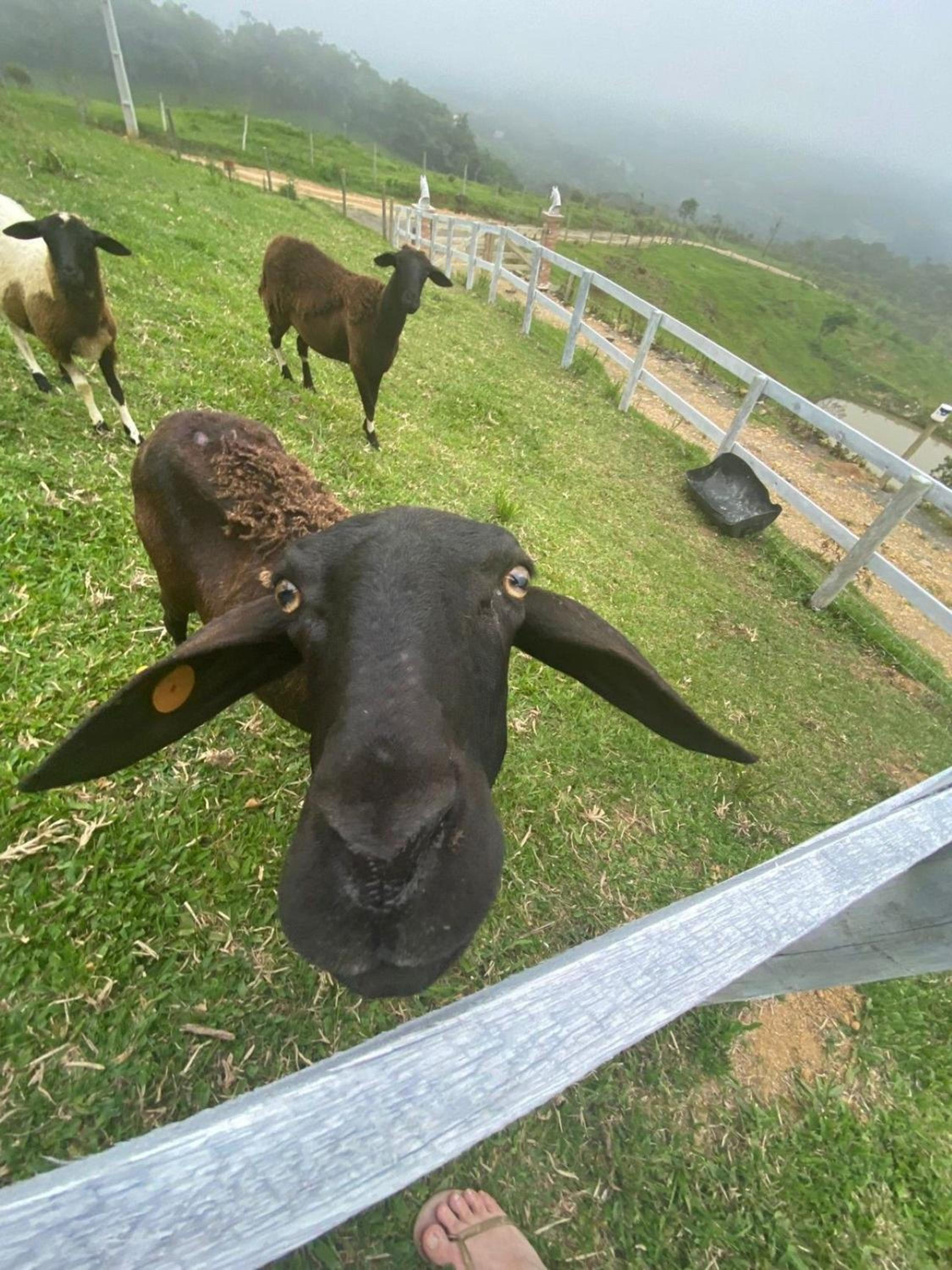 Rancho Sol Poente - Rancho Queimado - SC